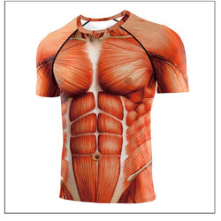 แขนสั้นลายกล้าม อนาโตมี่ สกรีนหน้าหลังเต็มตัว เสื้อยืดลายกล้าม เสื้อสกรีนรูปกล้าม เสื้อสกรีนซิคแพค เสื้อลาย six pack เสื้อยืดพิมพ์ลายตลก เพาะกาย เสื้อลายกล้าม 3 มิติ เสื้อลายกล้าม 3d เสื้อสามมิติ