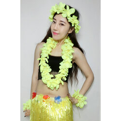 ชุดสร้อยฮาวาย พวงมาลัยดอกไม้เหลือง