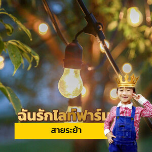 สายไฟพร้อมขั้วหลอดปิงปอง E27 , E12