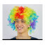 วิกผมหัวฟู วิกผมแฟนซี วิกผมปารตี้ วิกผมคอสเพลย์ วิกผมสี รุ้ง