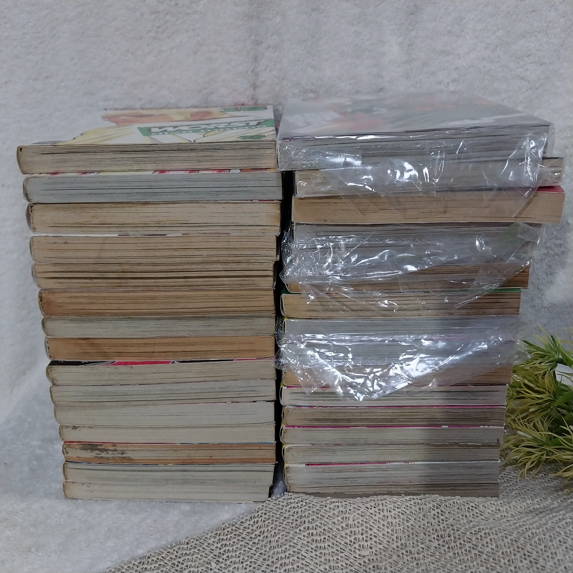 WORST เล่ม 1-33 จบ / ** ขาดเล่ม 29,30