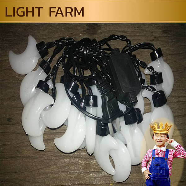 ไฟคริสมาส ไฟปีใหม่ ไฟแฟนซี 20 LED