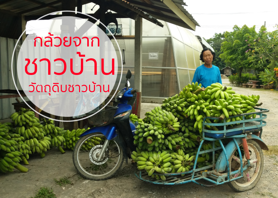 กล้วยกระทบเปลือก อบเกลือ เค็มน้อย 500g.