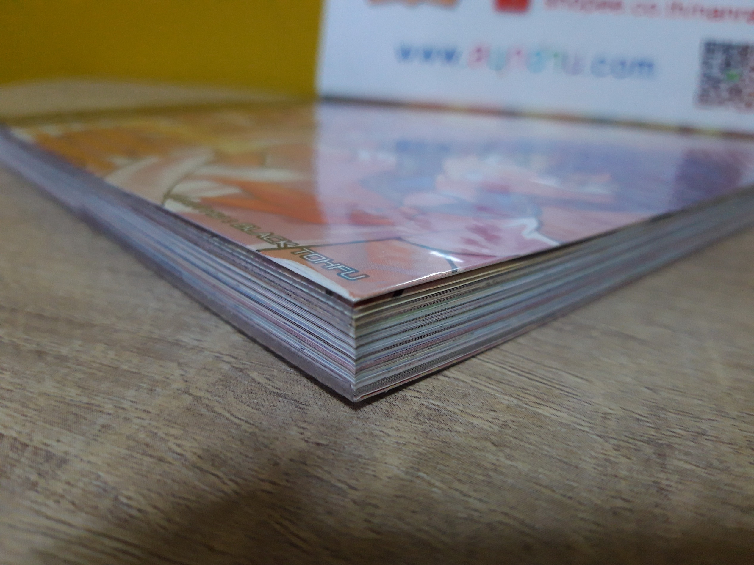 การิน จูเนียร์ : ประวัติศาสตร์ / คำสาป / อาถรรพ์