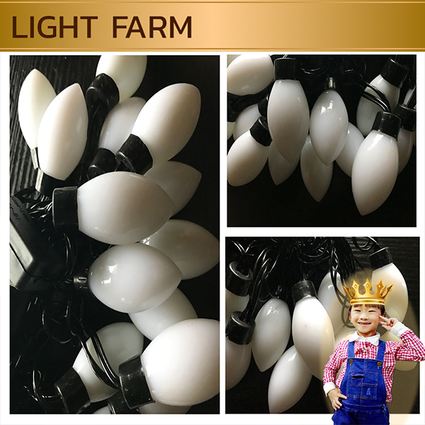 ไฟคริสมาส ไฟปีใหม่ ไฟแฟนซี 20 LED