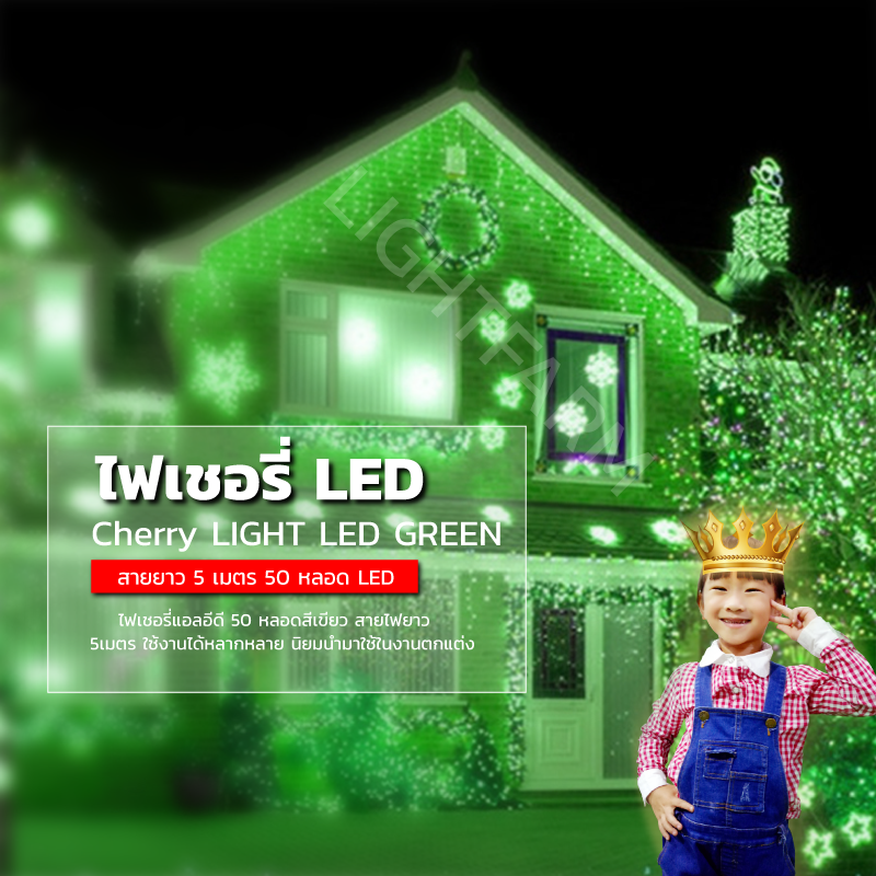 ไฟเชอรี่สีเขียว ไฟเชอรี่LED ไฟประดับตกแต่งตามงานเทศการต่างๆ