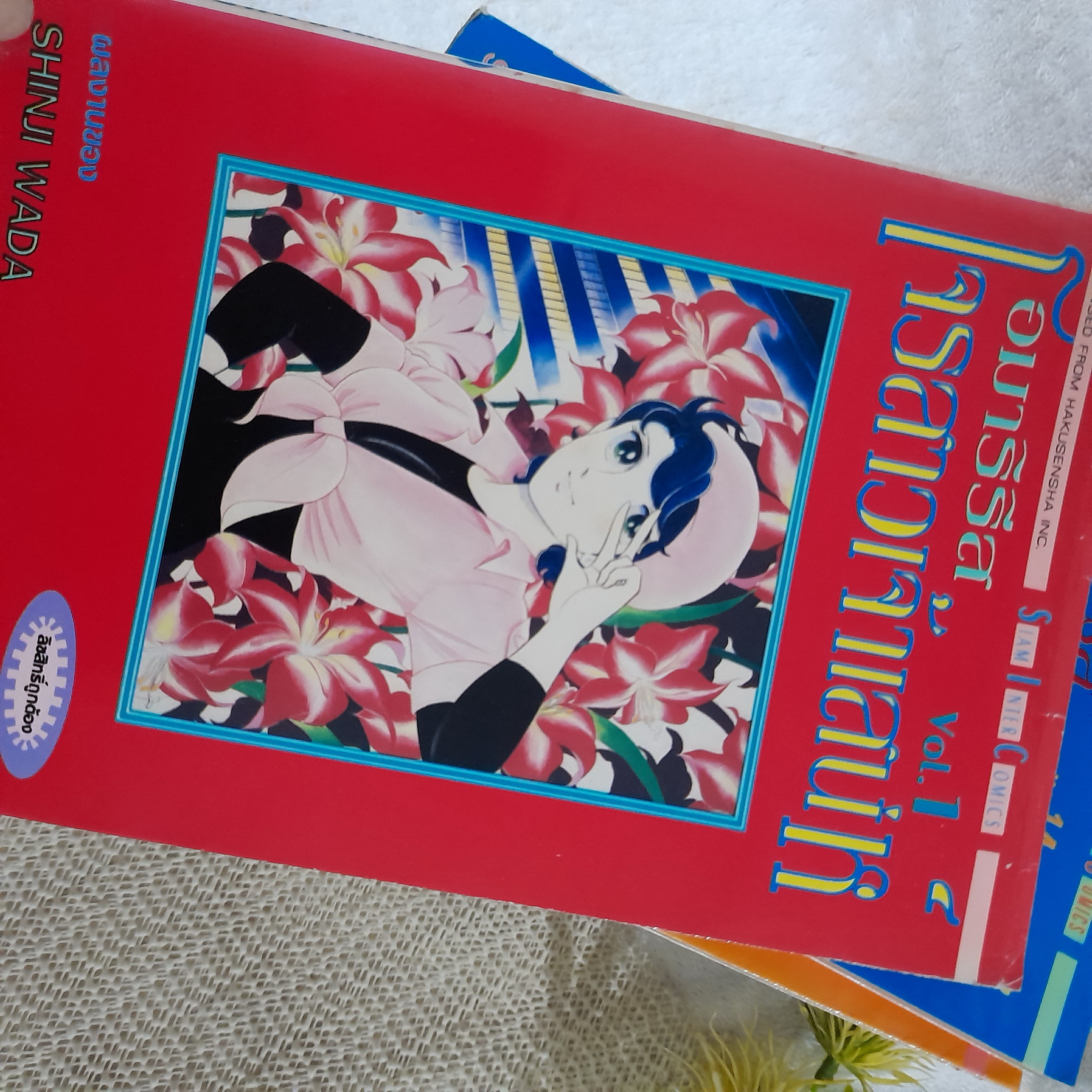 อมาริรีสโจรสาวเจ้าเสน่ห์ 1-14 จบ / Shinji Wada