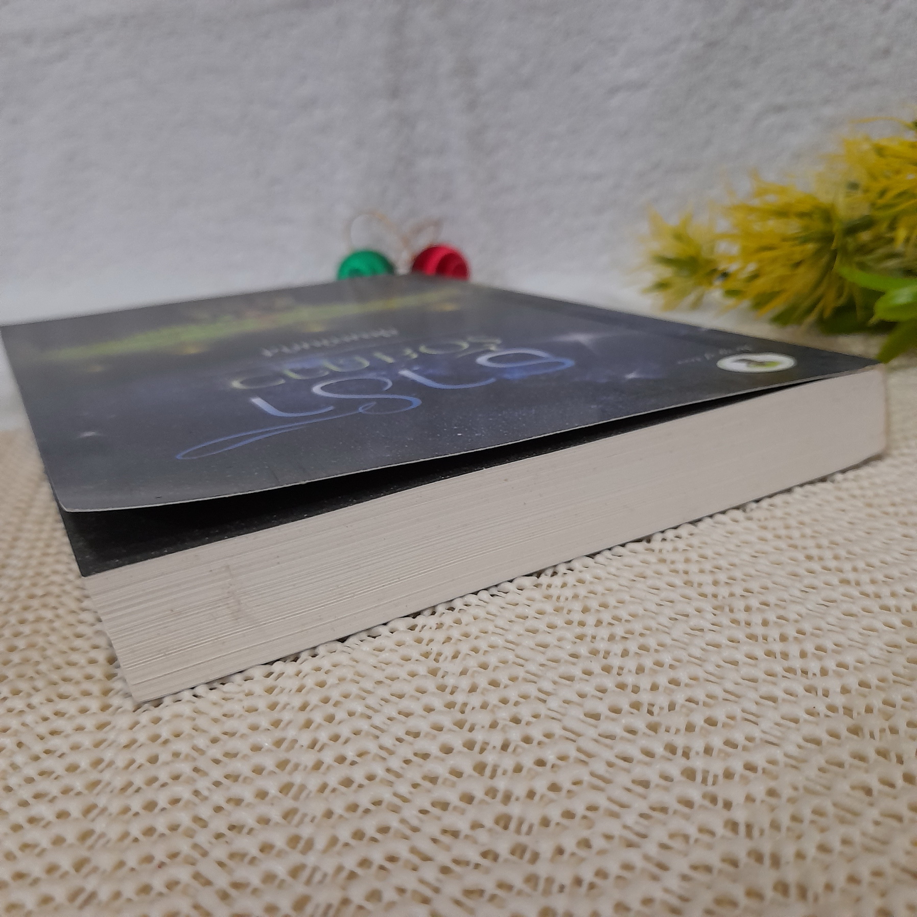 ธาราร้อยดาว / ปัณณ์นภัส