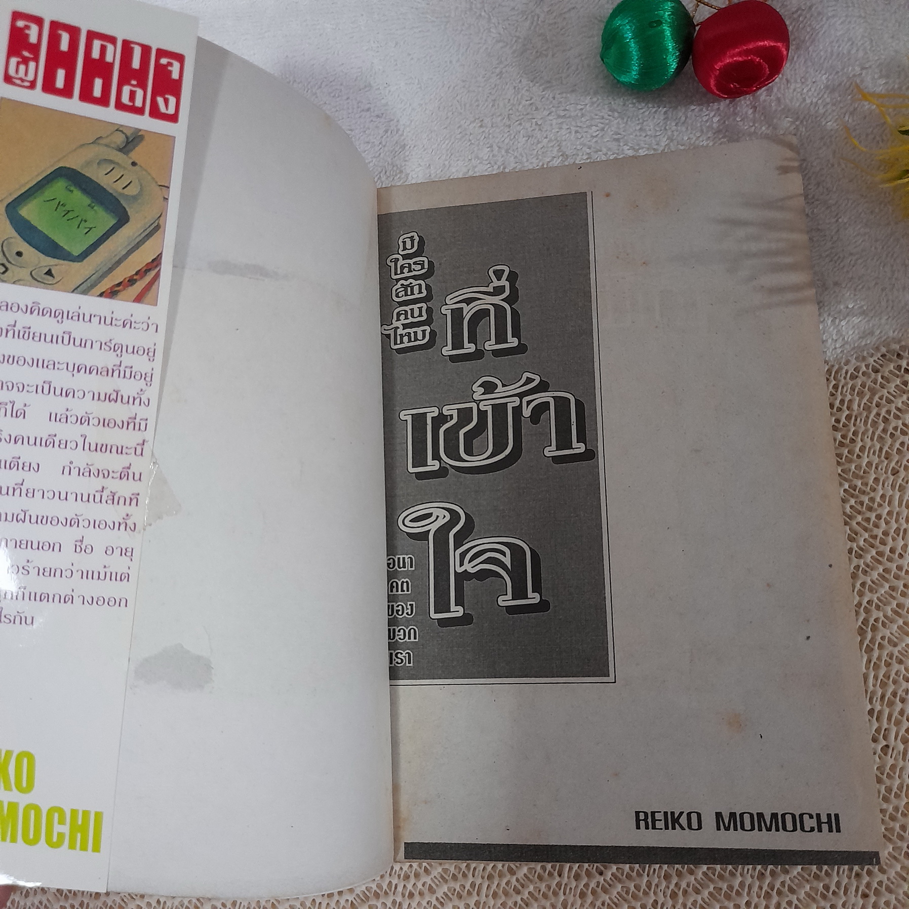 มีใครสักคนไหมที่เข้าใจ / Reiko Momochi