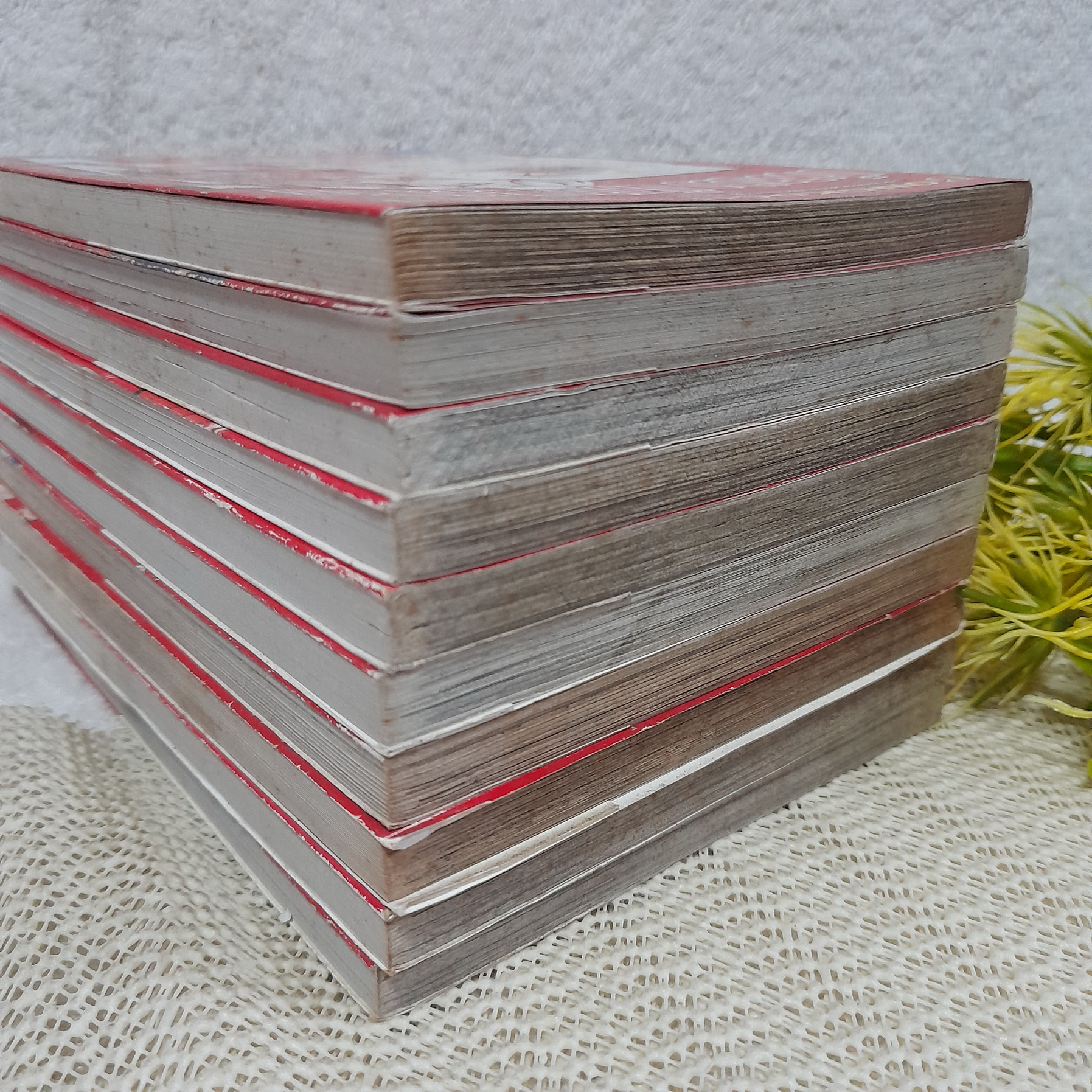 แก๊งอลเวง นักเลงพันธุ์พิลึก 1-10 จบ