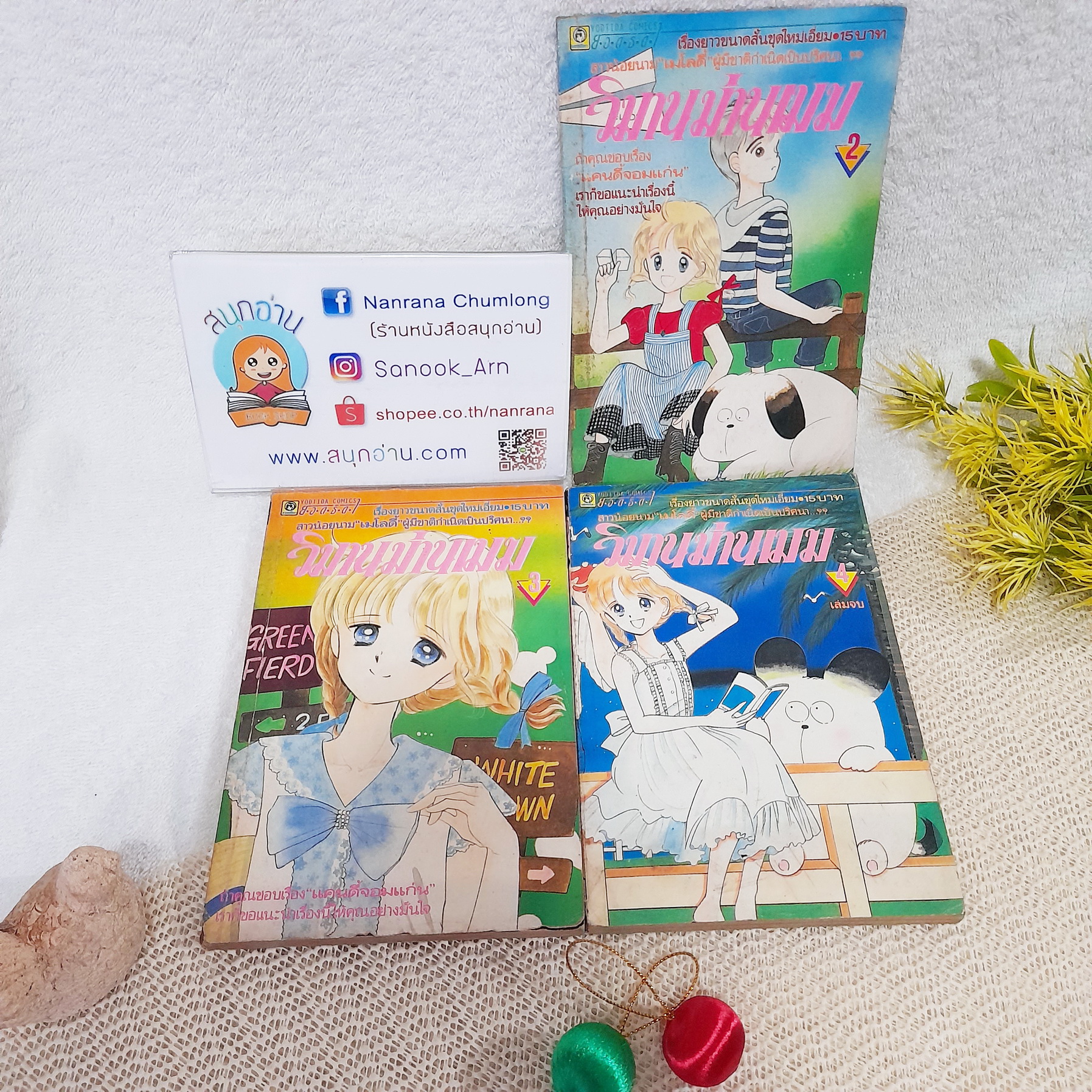 วิมานม่านเมฆ 2-4 จบ / * ขาดเล่ม 1 / Mizusawa Megumi
