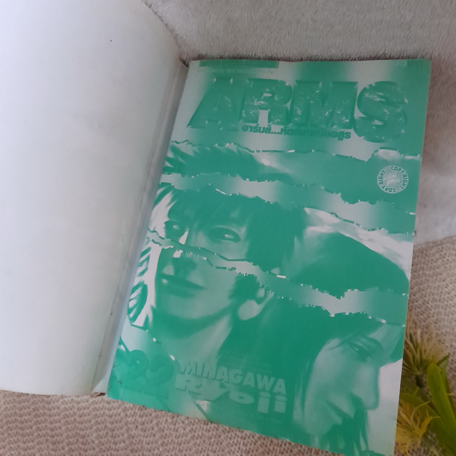 ARMS อาร์มส์ หัตถ์เทพมืออสูร 1-22 จบ