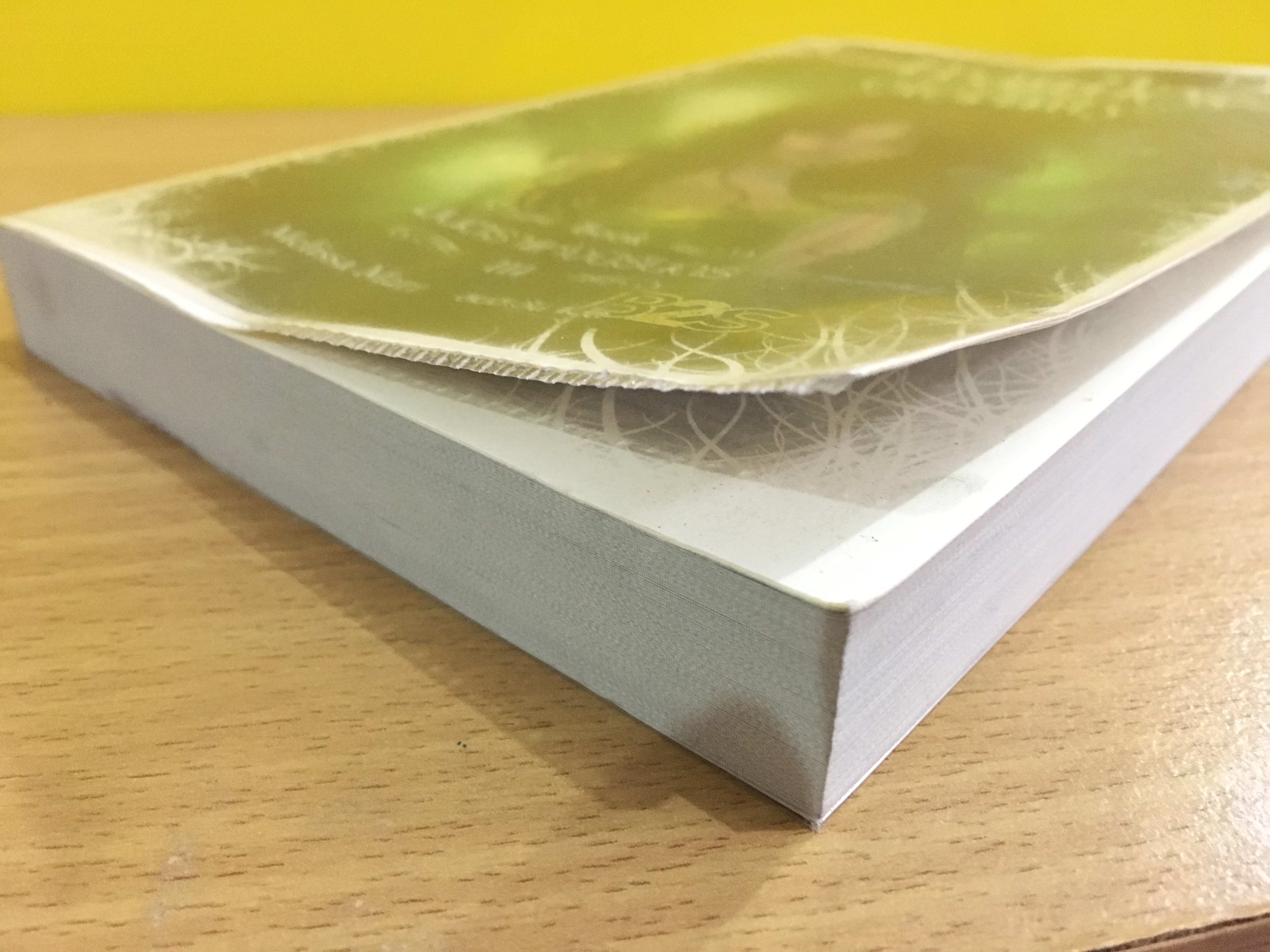 Fragile Eternity มนตราแห่งนิรันดร์ (Wicked Lovely เล่ม 3)