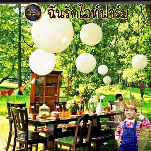 โคมกระดาษ , พู่กระดาษ ,ธงราวปาร์ตี้ ของตกแต่งแบบต่างๆ