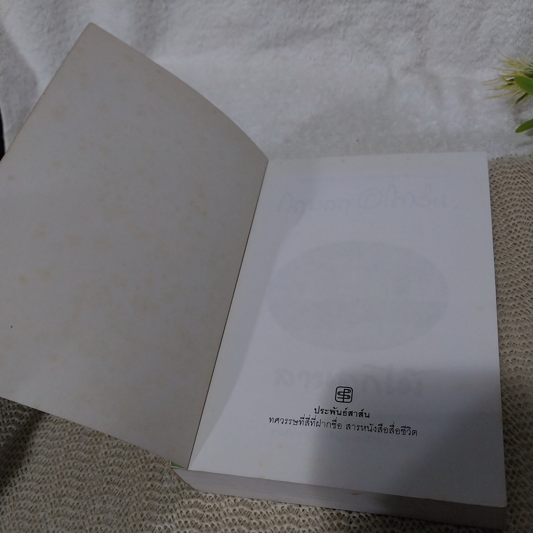 ลานลูกไม้ / กฤษณา อโศกสิน