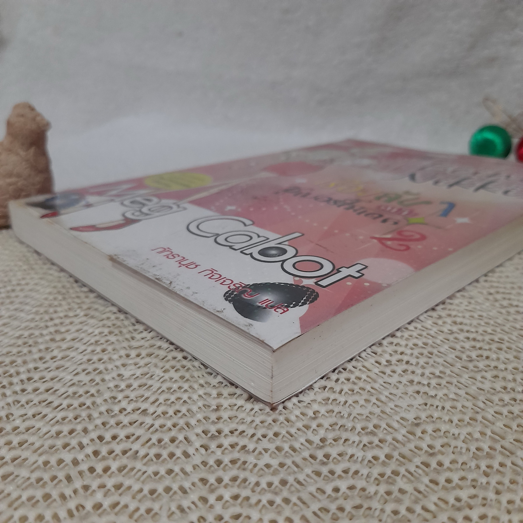 เรื่องลับๆ ฉบับซูเปอร์โมเดล 2 (Being Nikki) / Meg Cabat