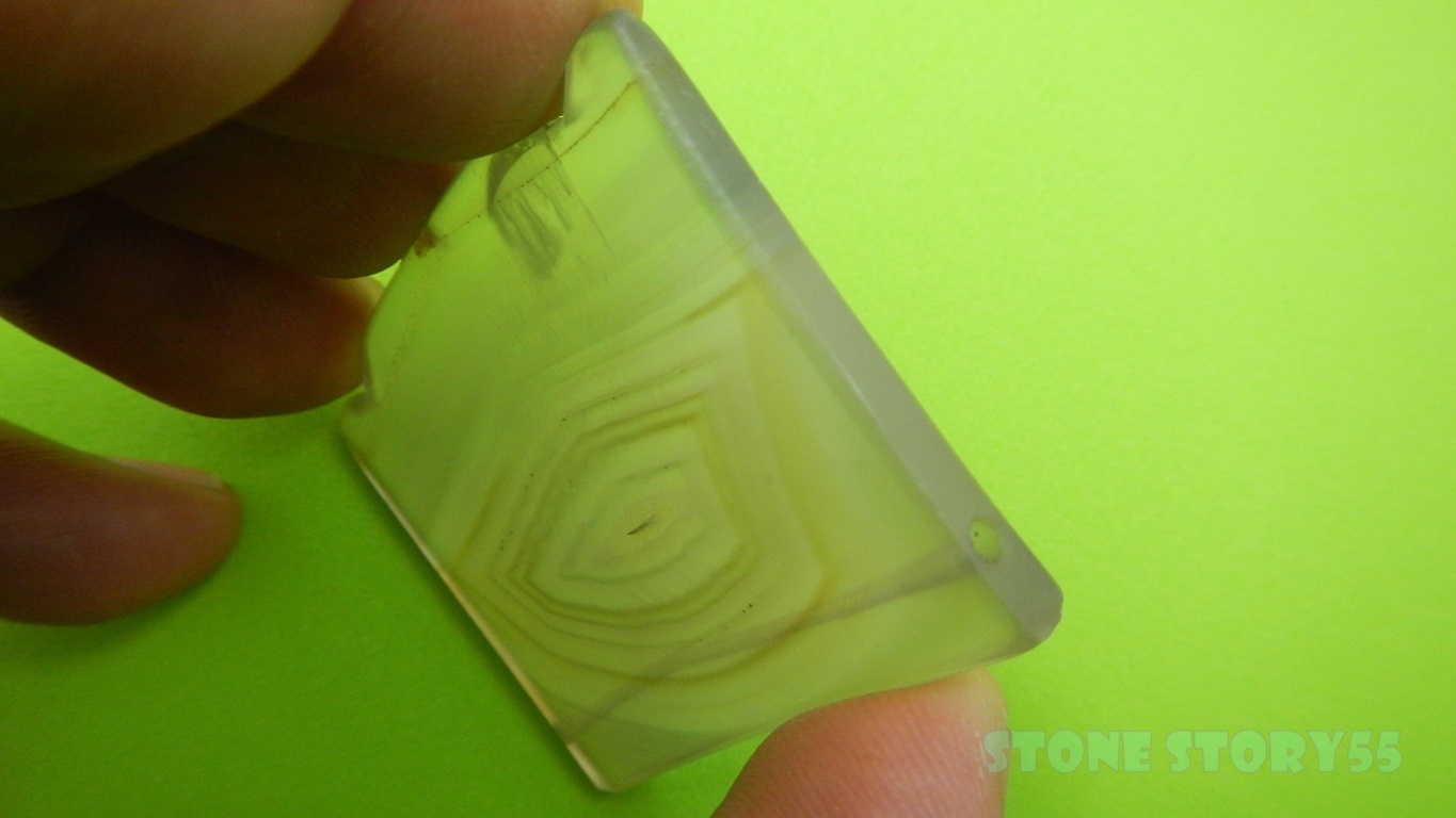 ลูกปัด เฟิร์ม