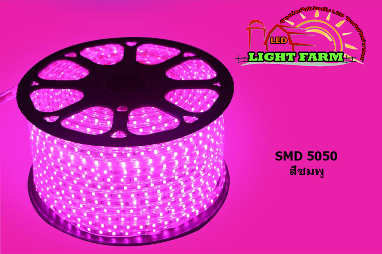 ไฟสายยาง SMD 5050 (50 m.) สีชมพู (ท่อแบน)