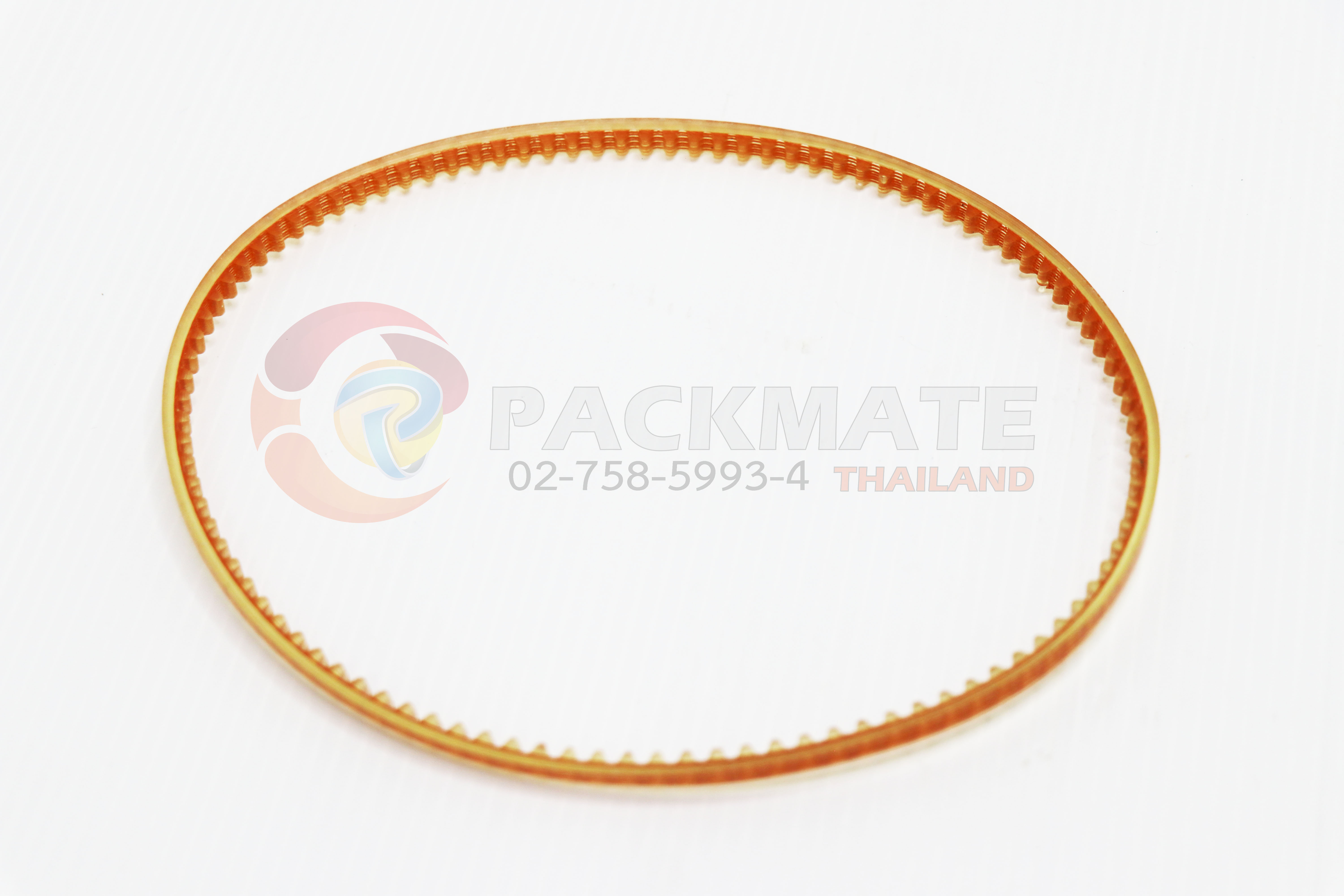 สายพานตีนตะขาบ (FR-900)