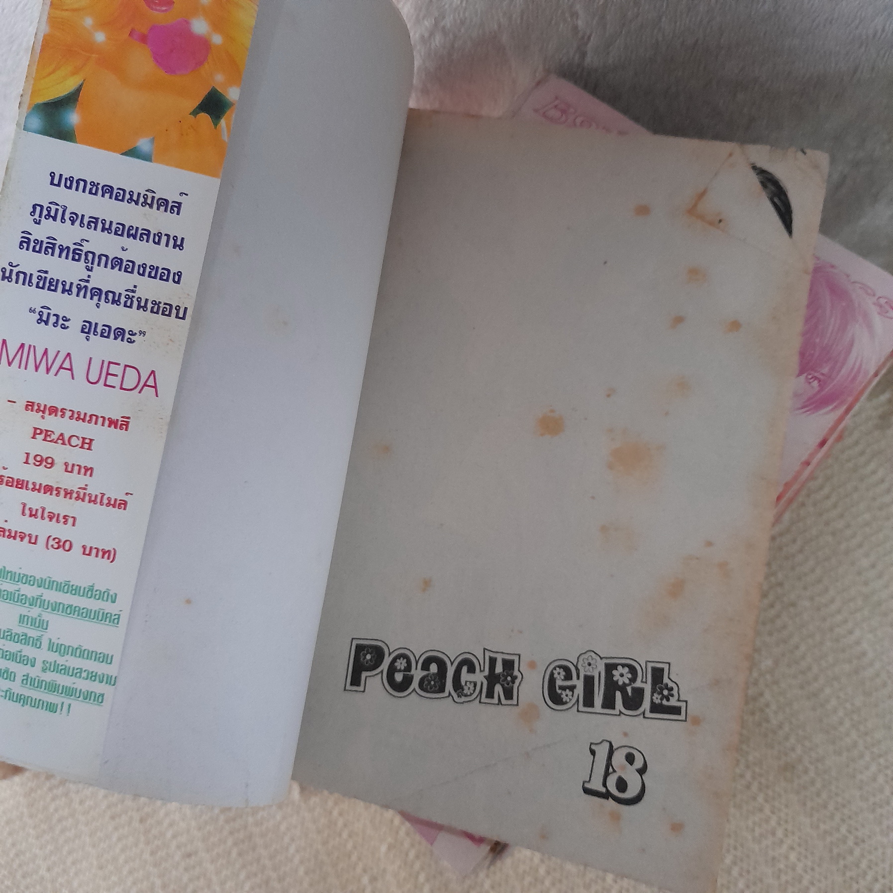 Peach Girl 1-18 จบ