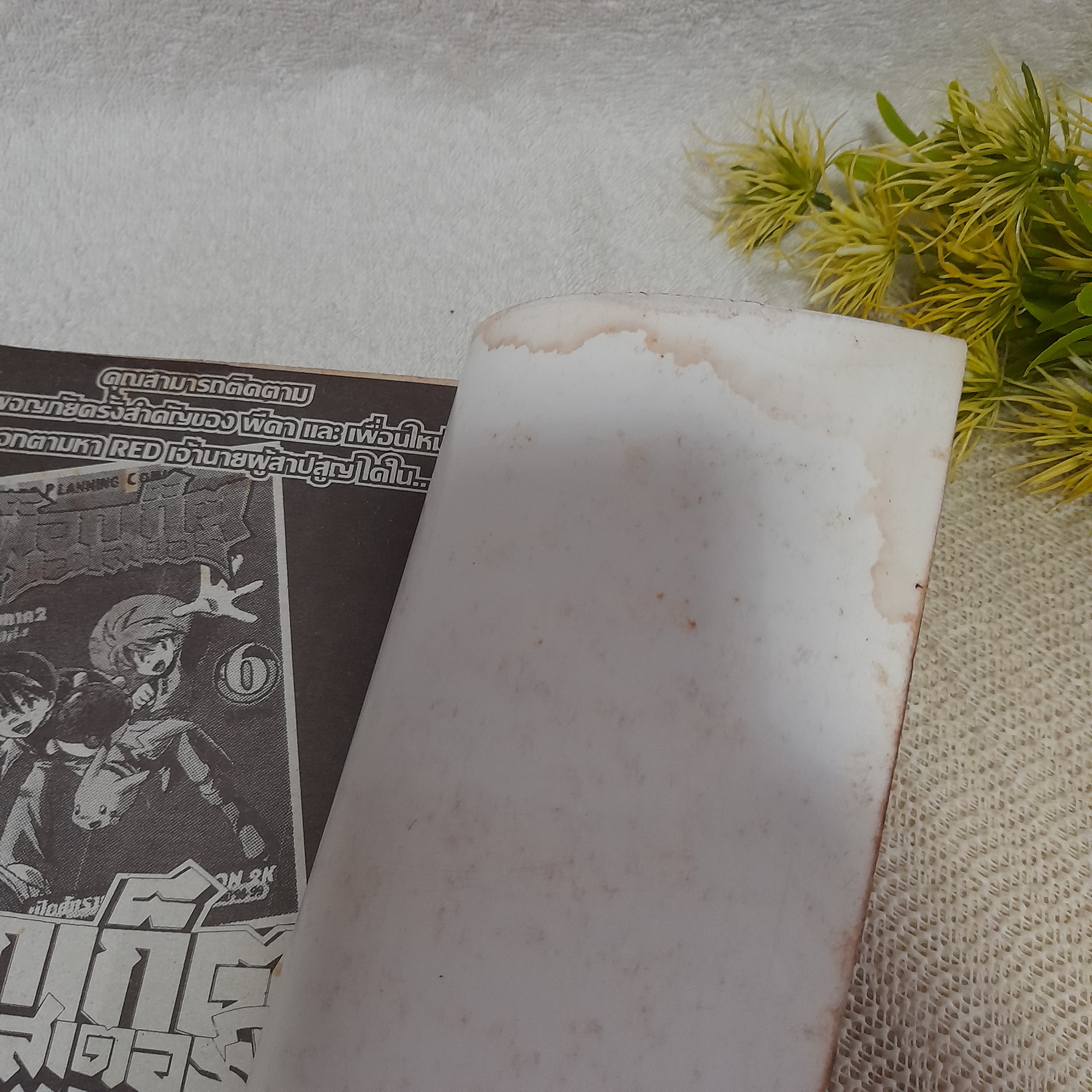 พ็อกเก็ต มอนสเตอร์ Pocket Monster Special ภาค Red