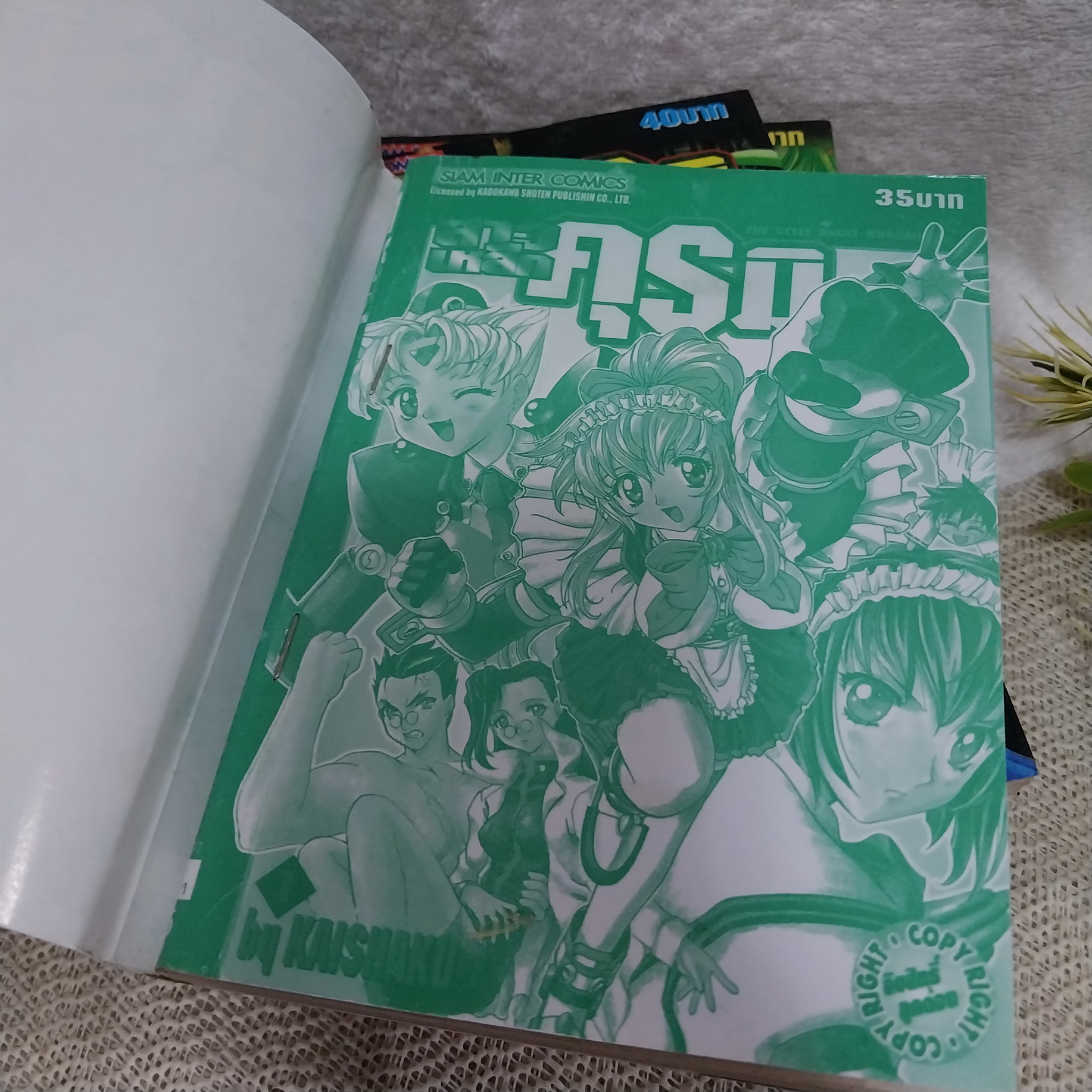 สาวเหล็กคุรุมิ 1-7 ไม่จบ / * ขาดเล่ม 8-11