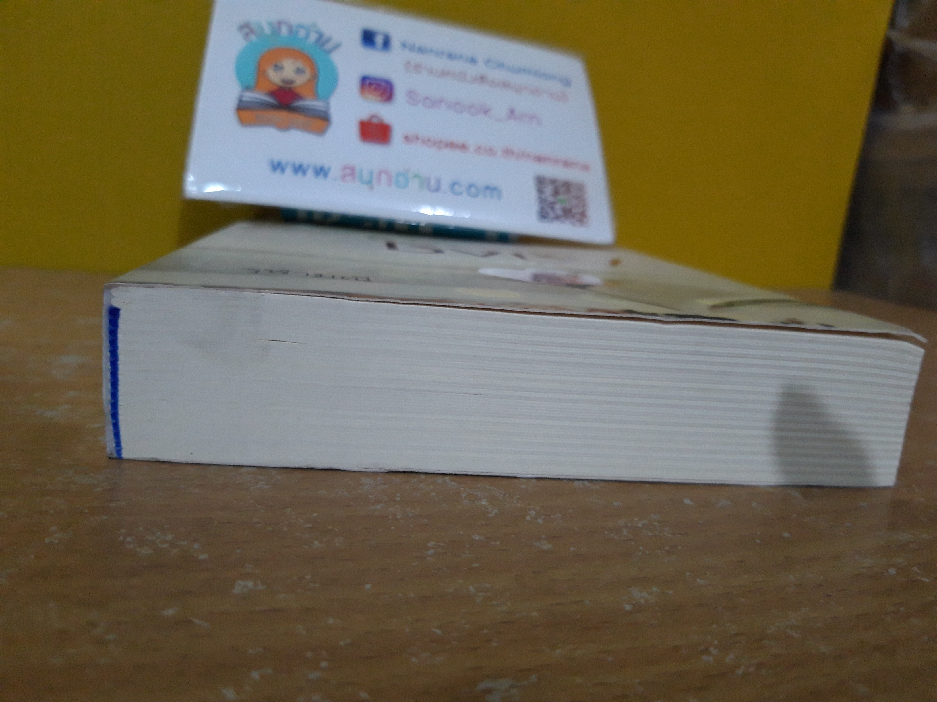 ชิงชัง / จุฬามณี