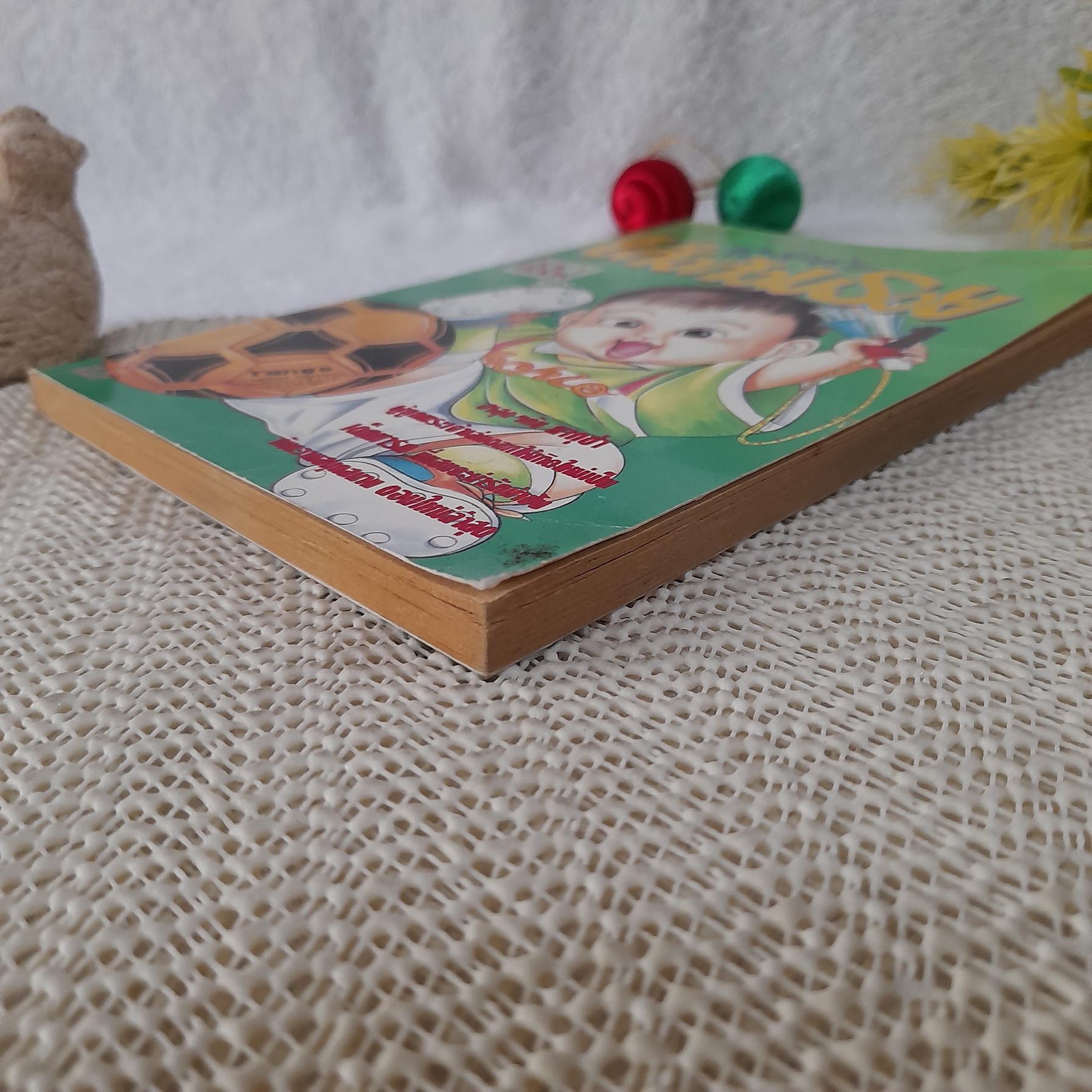 หนูละเบื่อเสือสวมรอย เล่ม 1