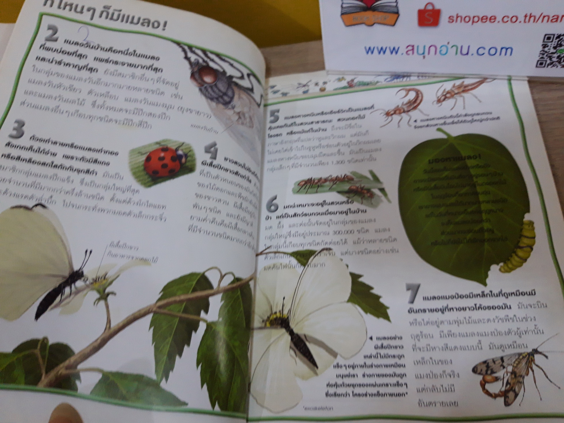 100 เรื่องน่ารู้เกี่ยวกับแมงและแมลง