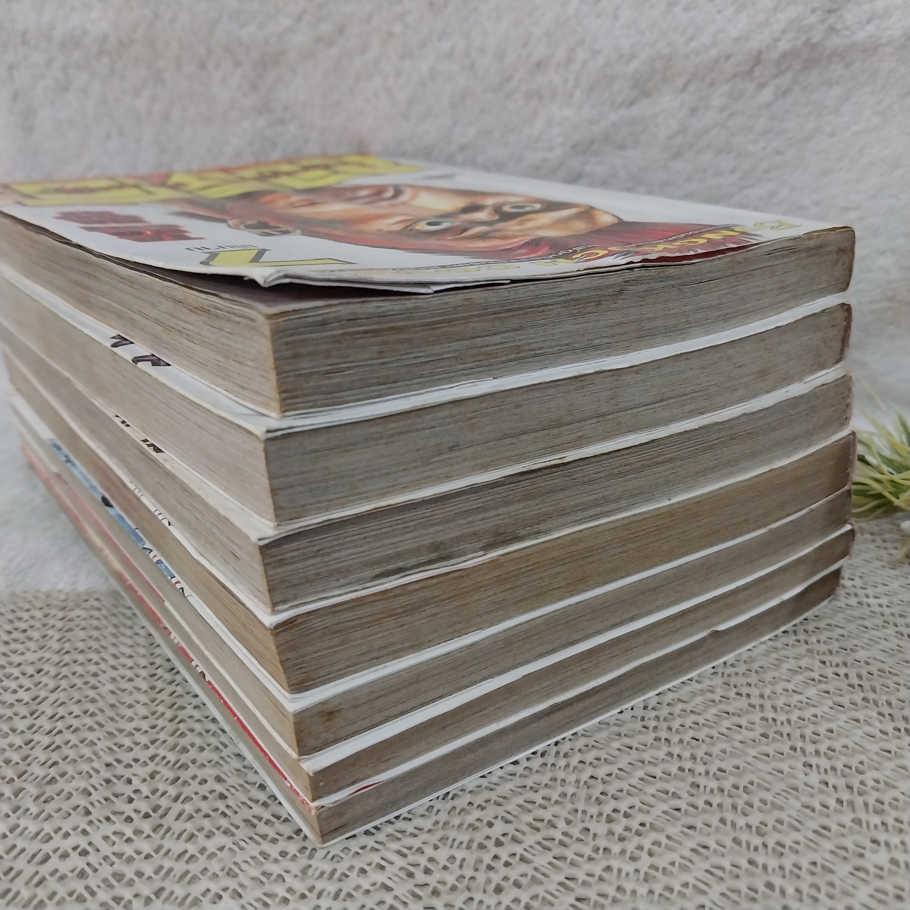 กอริโอะ หนุ่มหน้าเห่ย หัวใจเหล็ก 1-7 จบ