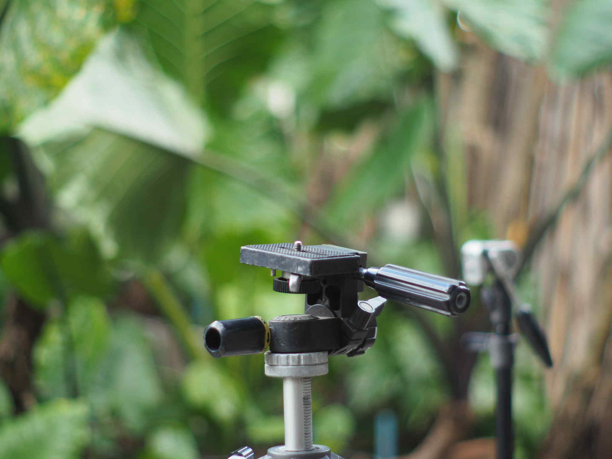 SMC PENTAX-M 50MM.F2 PK MOUNT