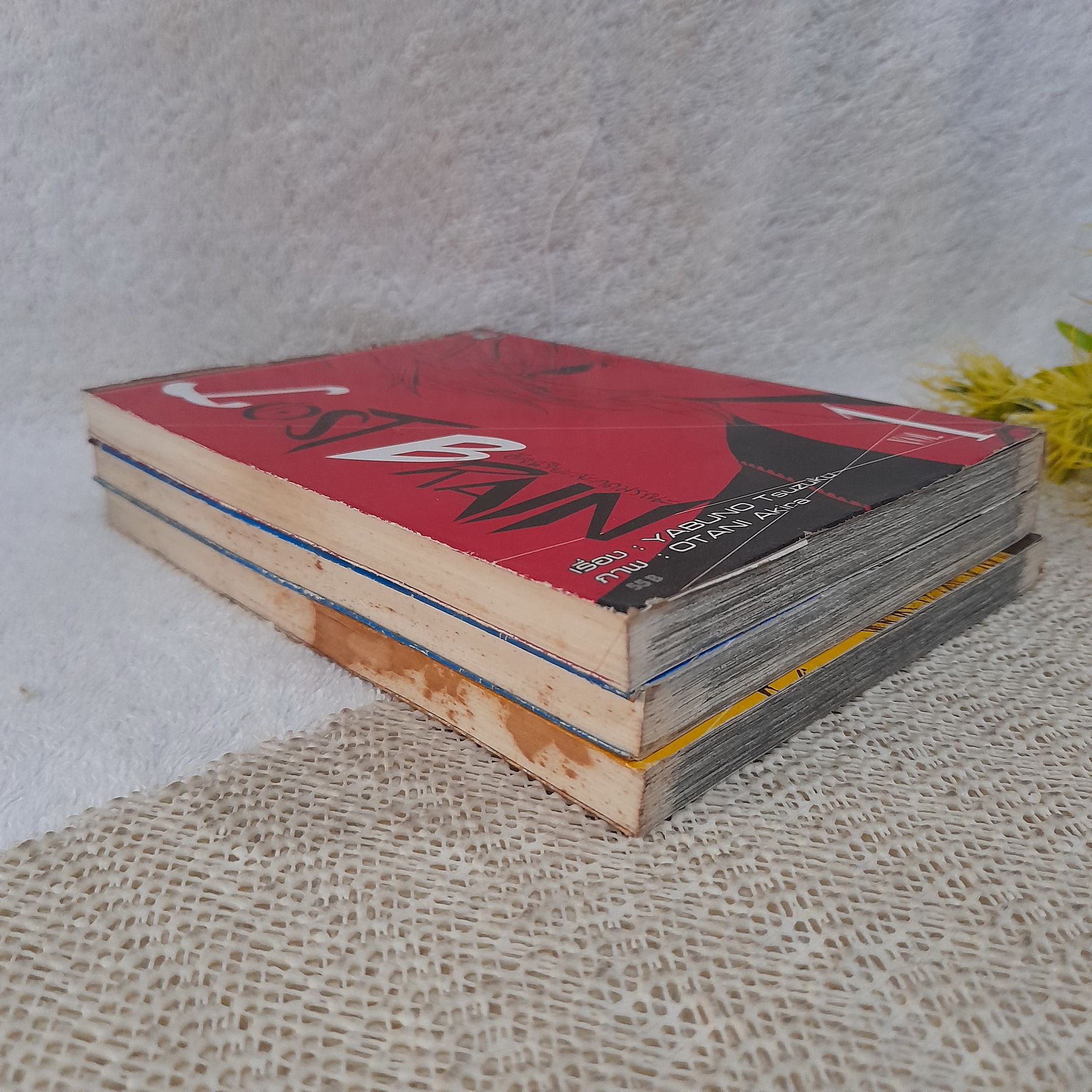 Lost Brain อัจฉริยะสะกดมรณะ 1-3 จบ