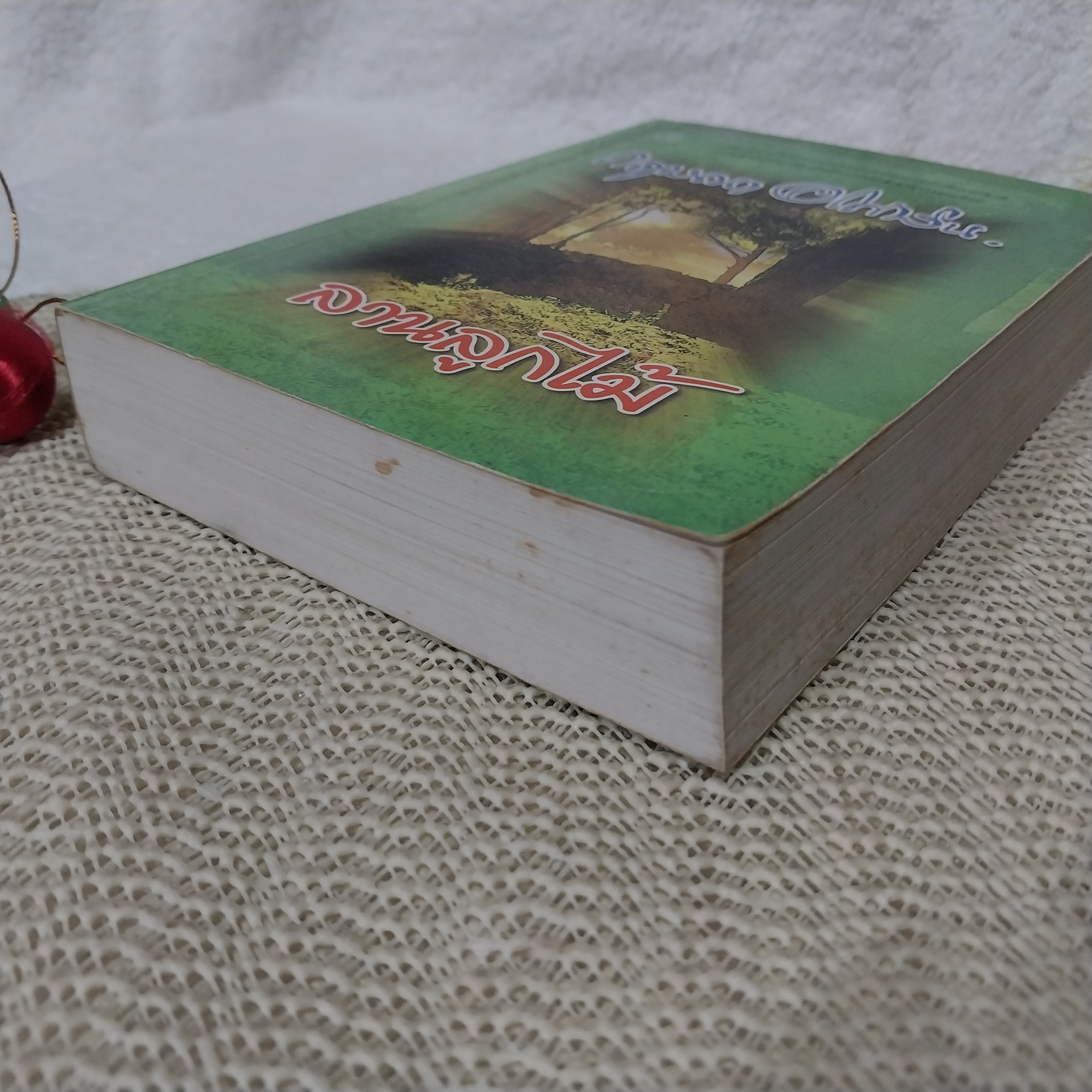 ลานลูกไม้ / กฤษณา อโศกสิน