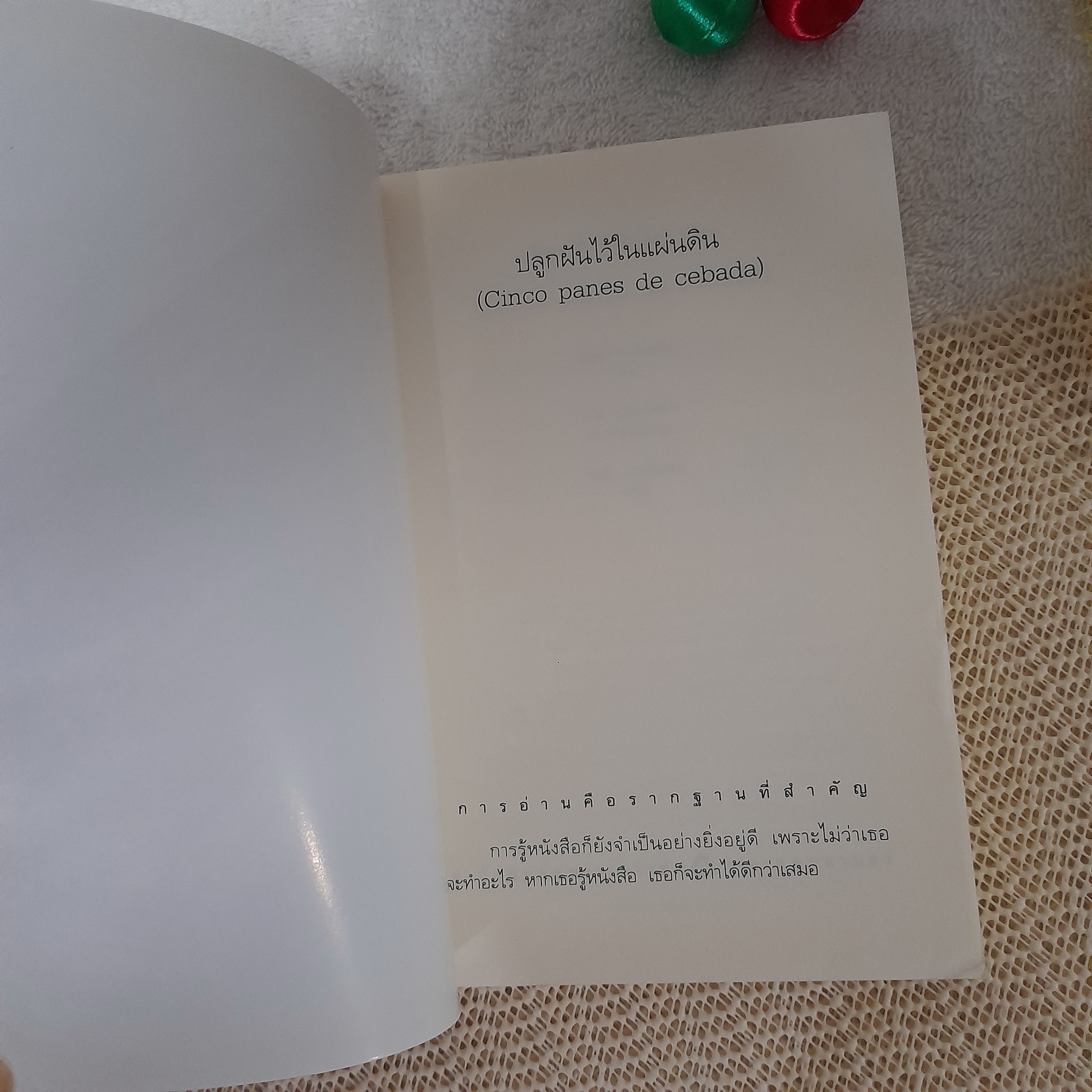 ปลูกฝันไว้ในแผ่นดิน (Cinco panes de cebada) / ลูเซีย บาเกดาโน