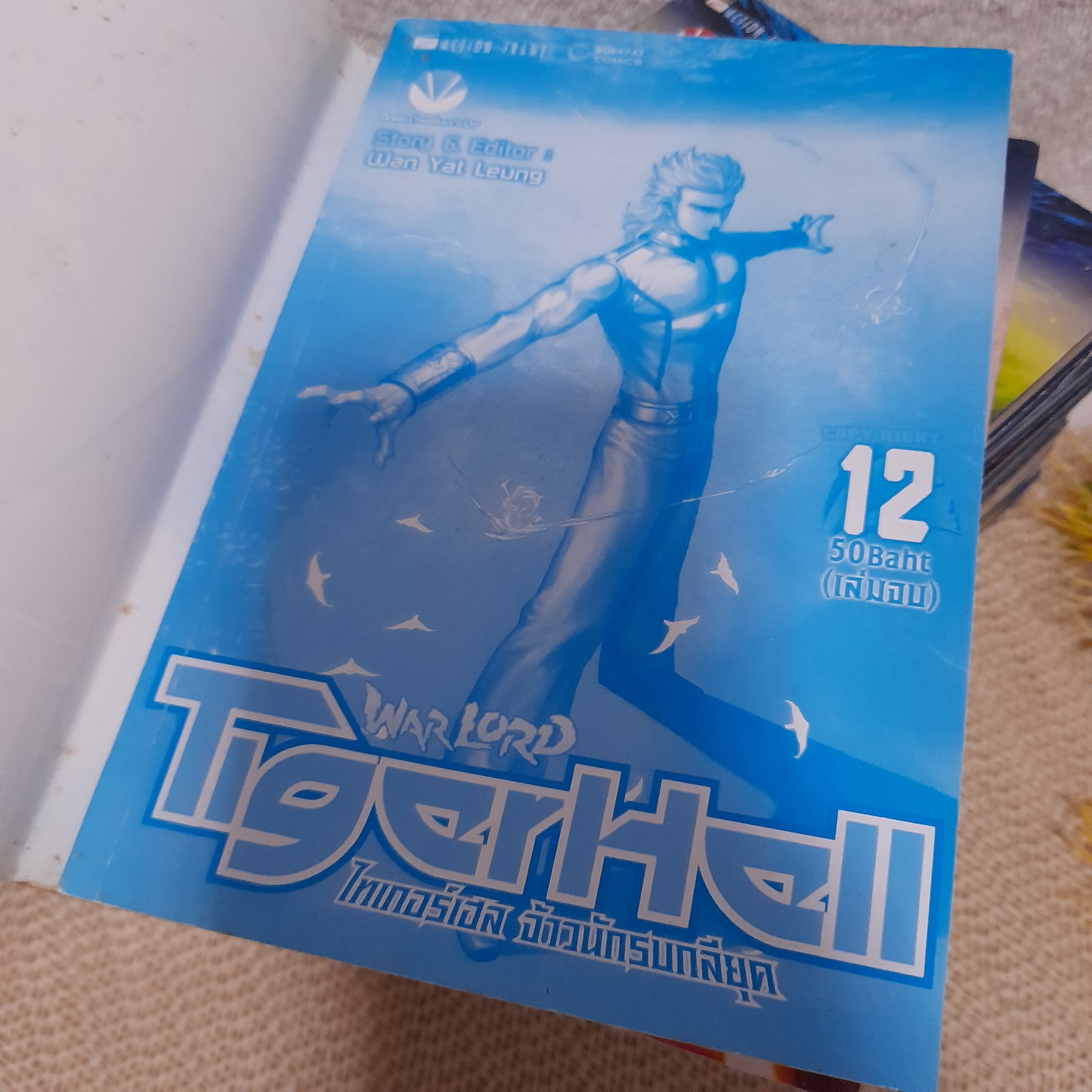 Tiger Hell ไทเกอร์เฮล จ้าวนักรบกลียุค 1-12 จบ / * ขาดเล่ม 11