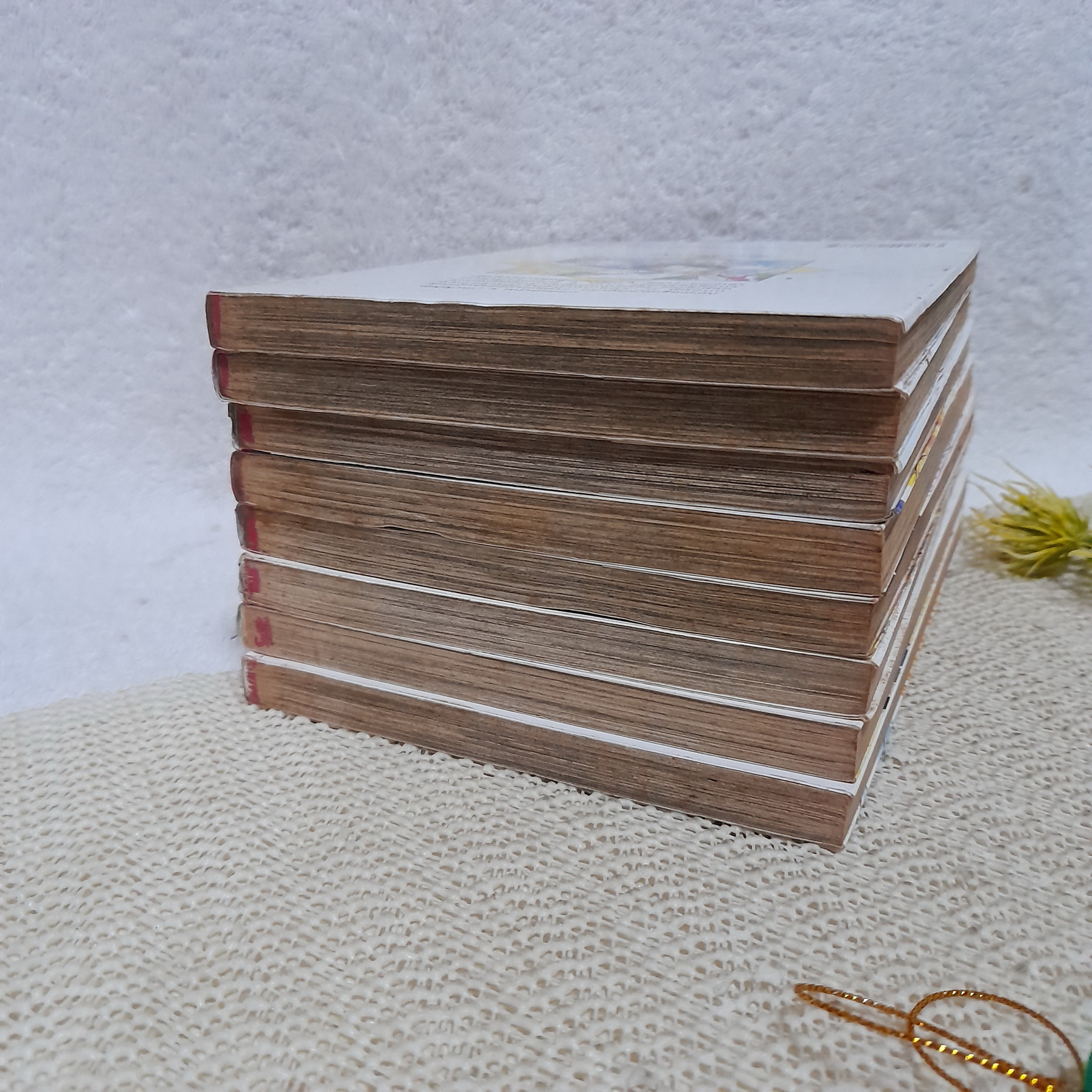 ASTERISK เทวดาผู้พิทักษ์ 1-8 จบ (การ์ตูน Y)