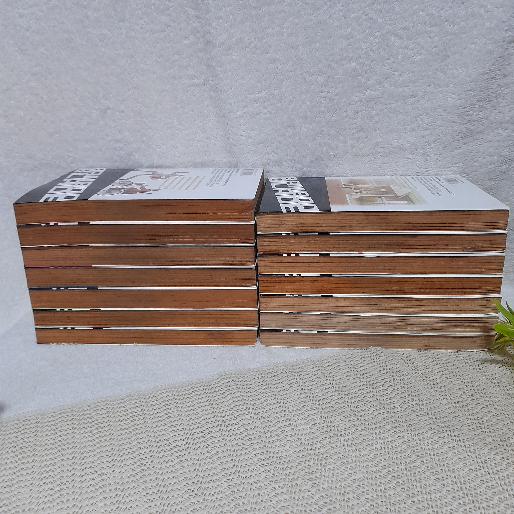 เคนโด้สาว Bamboo Blade 1-14 จบ