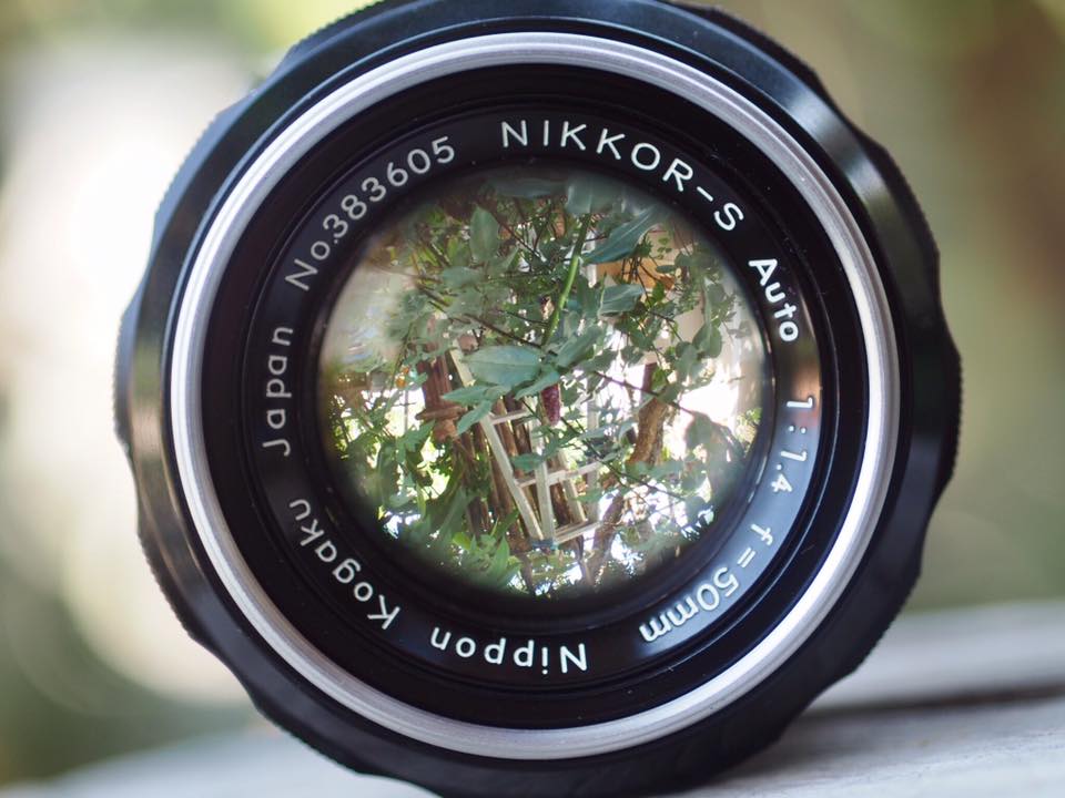 Nikon NIKKOR-S Auto 50mm. F1.4