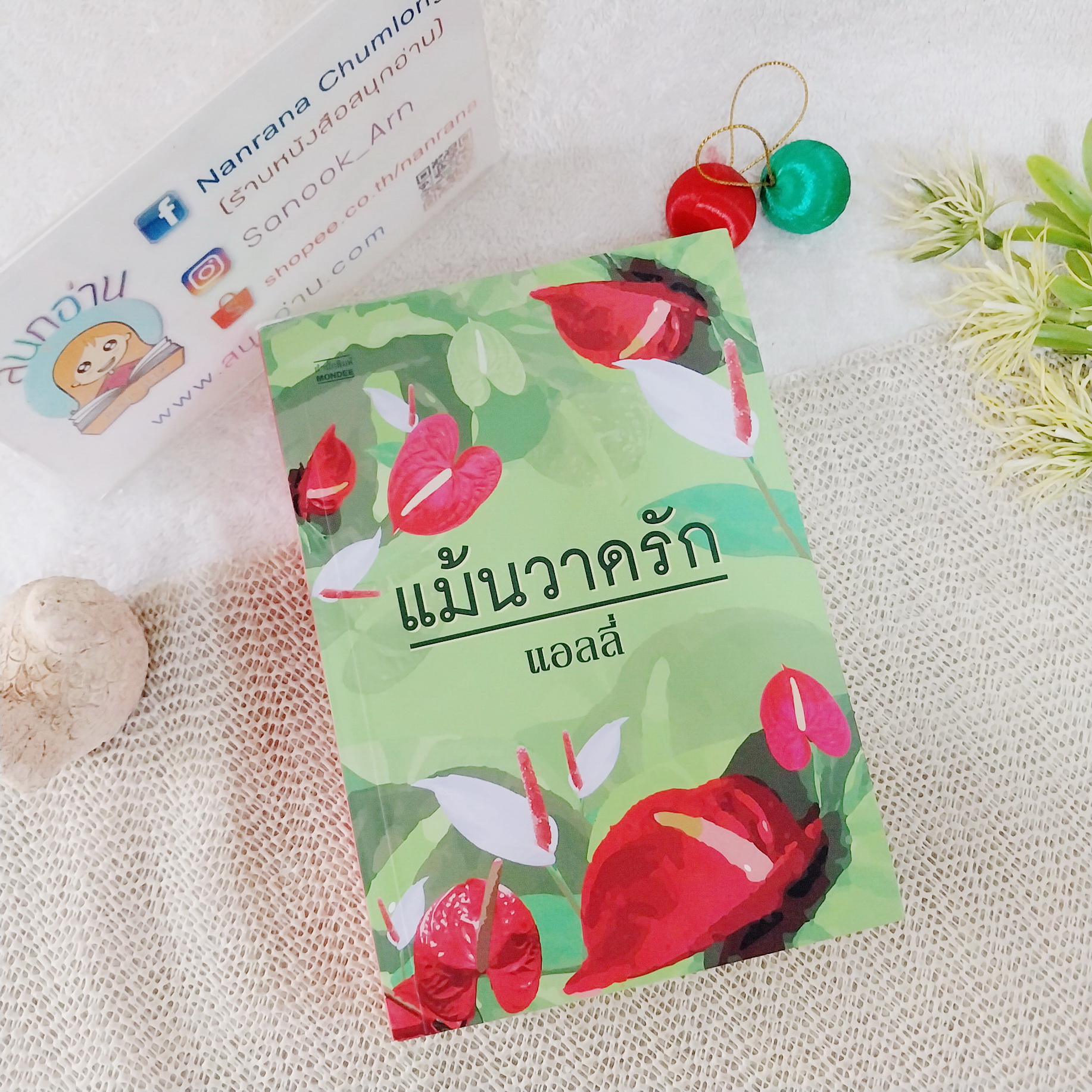แม้นวาดรัก / แอลลี่