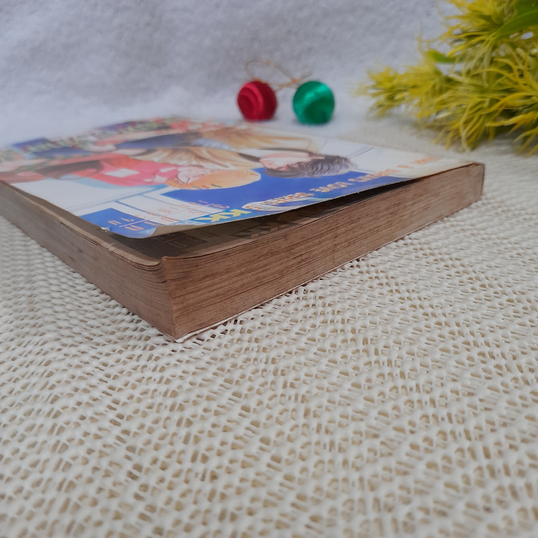 ปลายทางที่กลางใจ Mari & Burai Love Siries 5 (เรื่องเดียวกับซีรี่ย์ One Way Ticket)