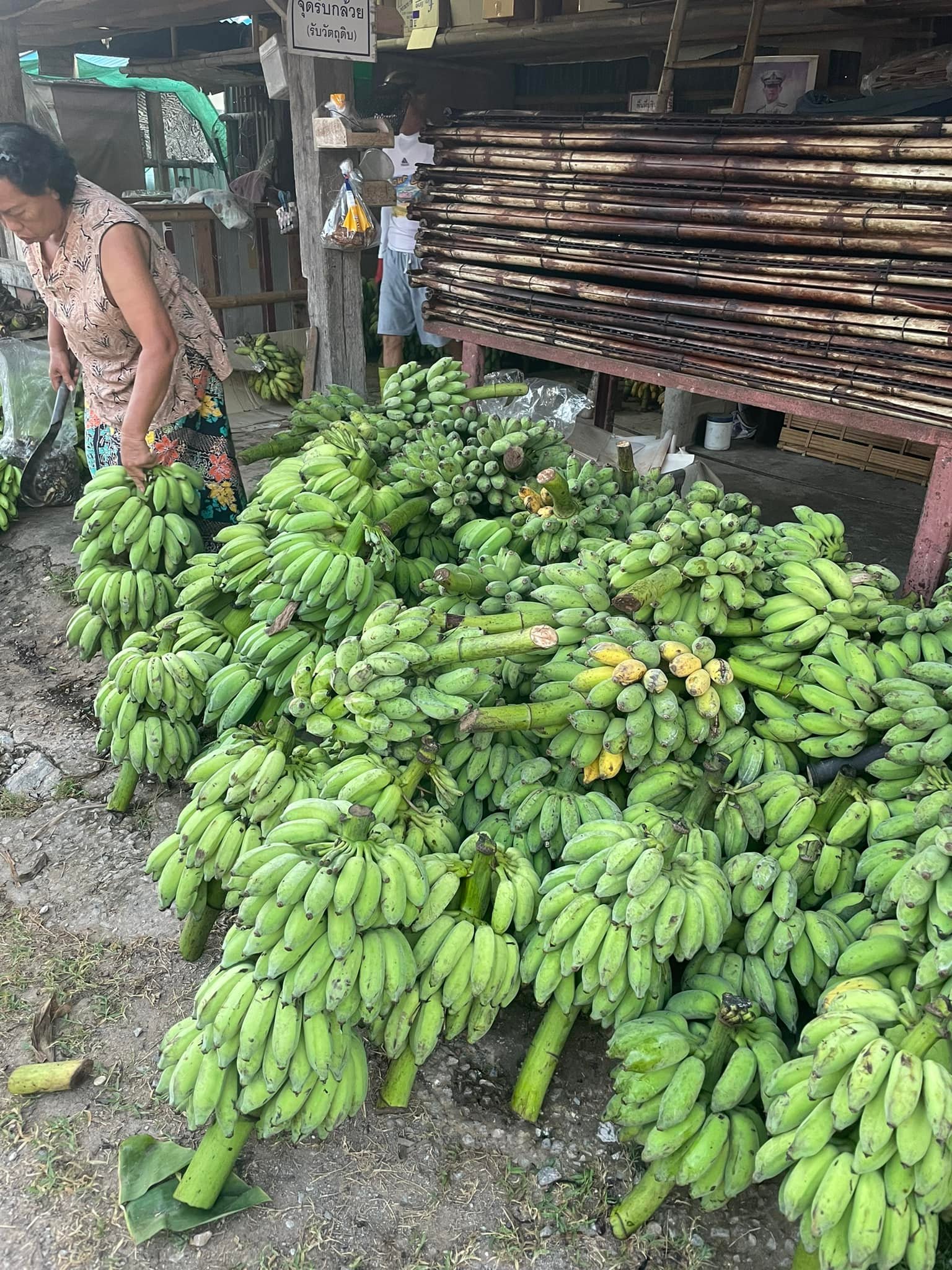 กล้วยน้ำว้าดิบผงวิตามินซีพลัส