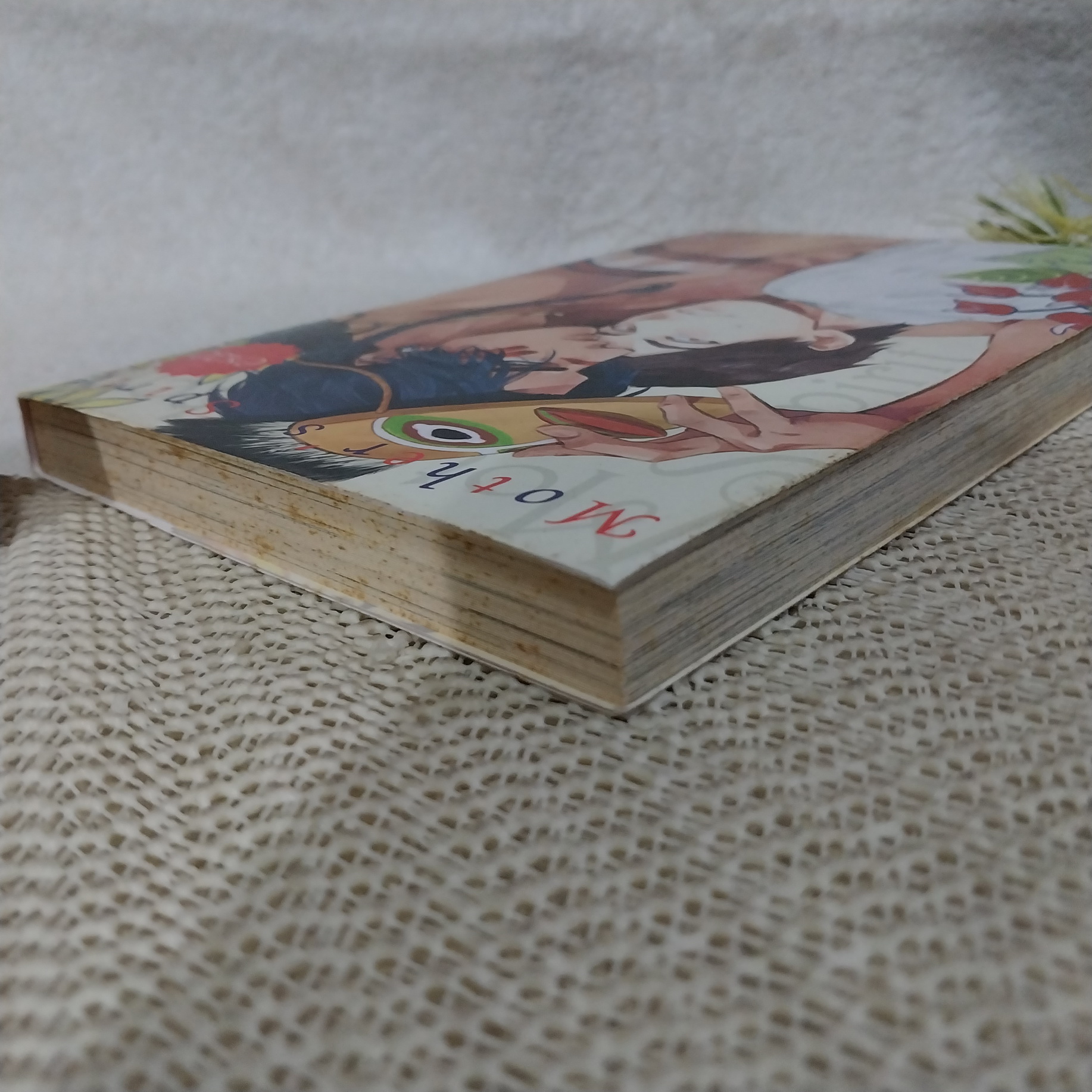 Mother 's Spirit / ENZO