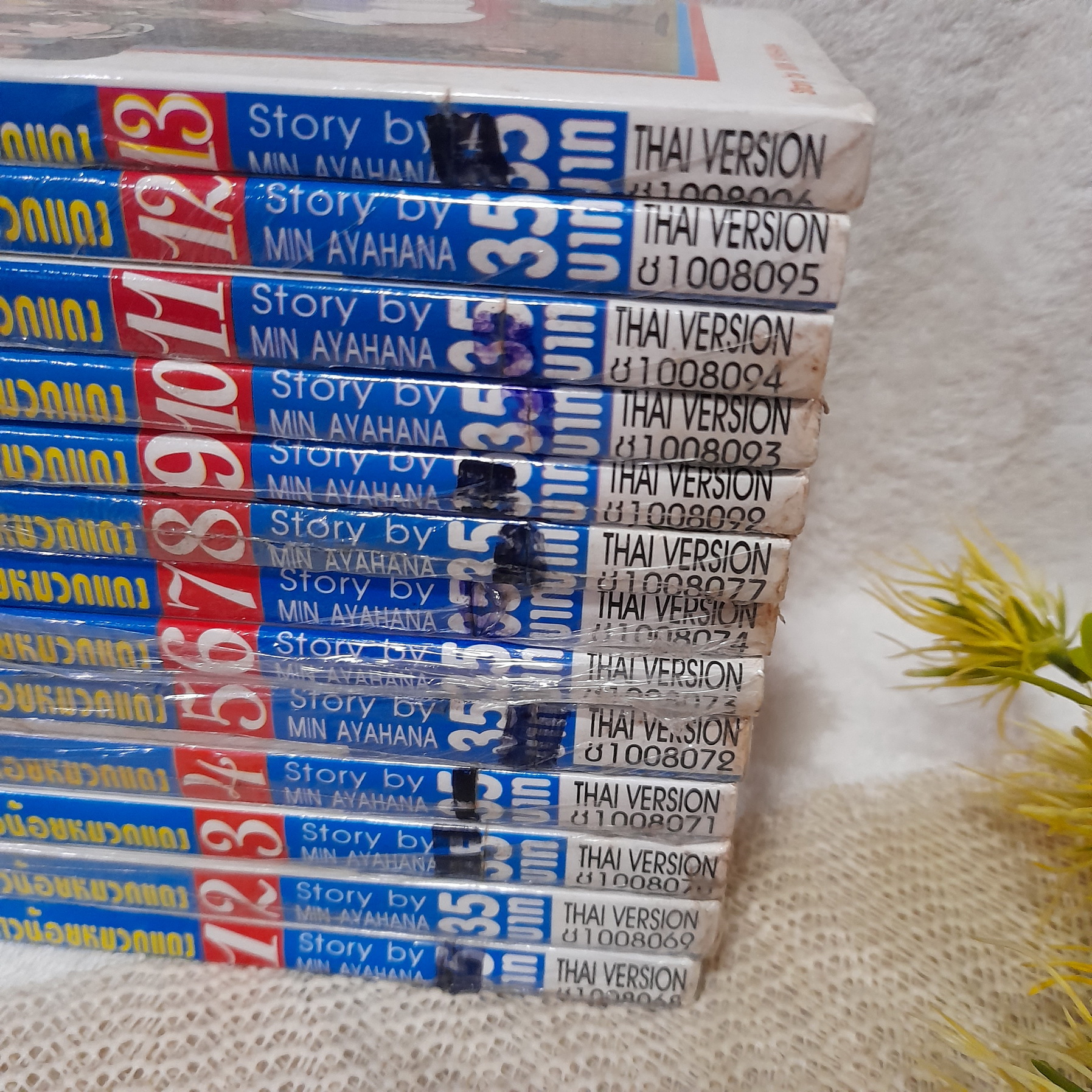 CHA CHA สาวน้อยหมวกแดง 1-13 จบ