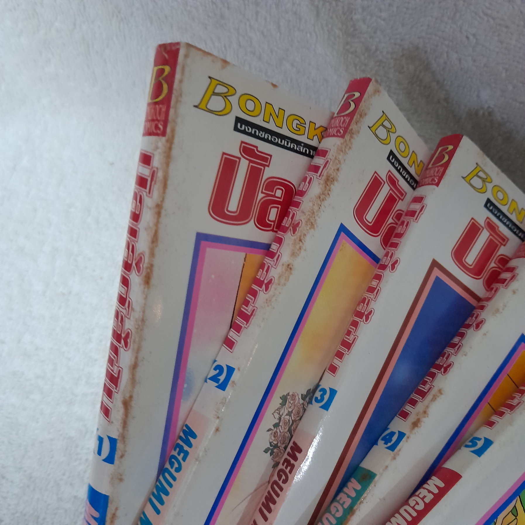 บัลเล่ต์สู่ฝัน 1-5 จบ / Megumi Mizusawa