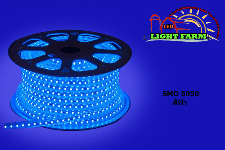 ไฟสายยาง SMD 5050 (50 m.) สีฟ้า (ท่อแบน)