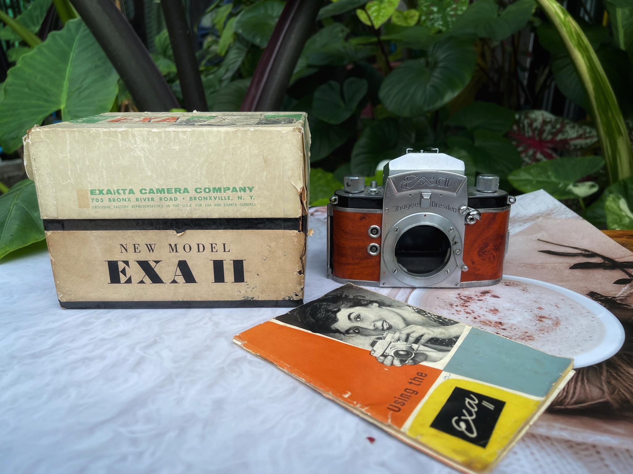EXA JHAGEE DRESDEN(BODY)