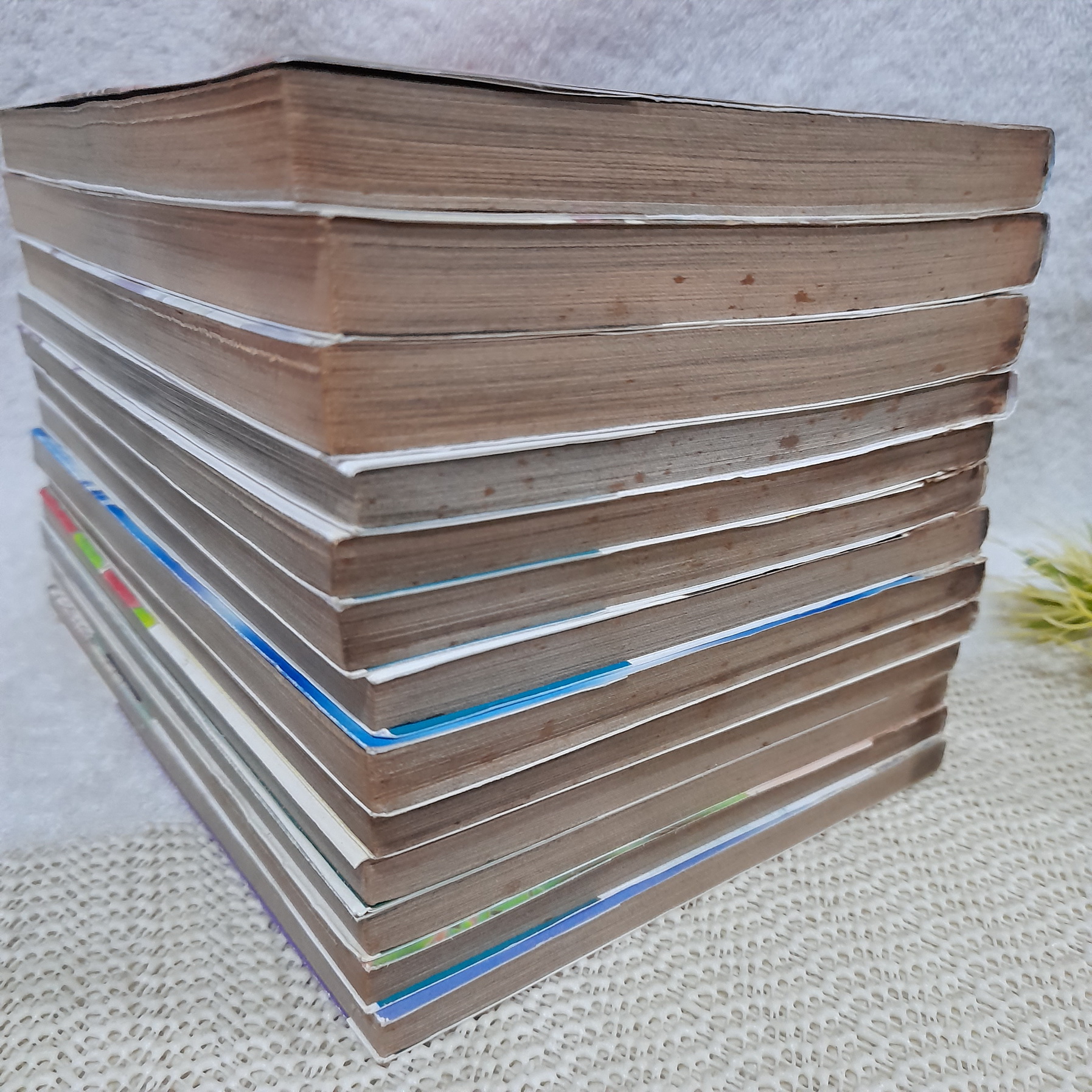 นางฟ้าตกสวรรค์ 1-13 จบ