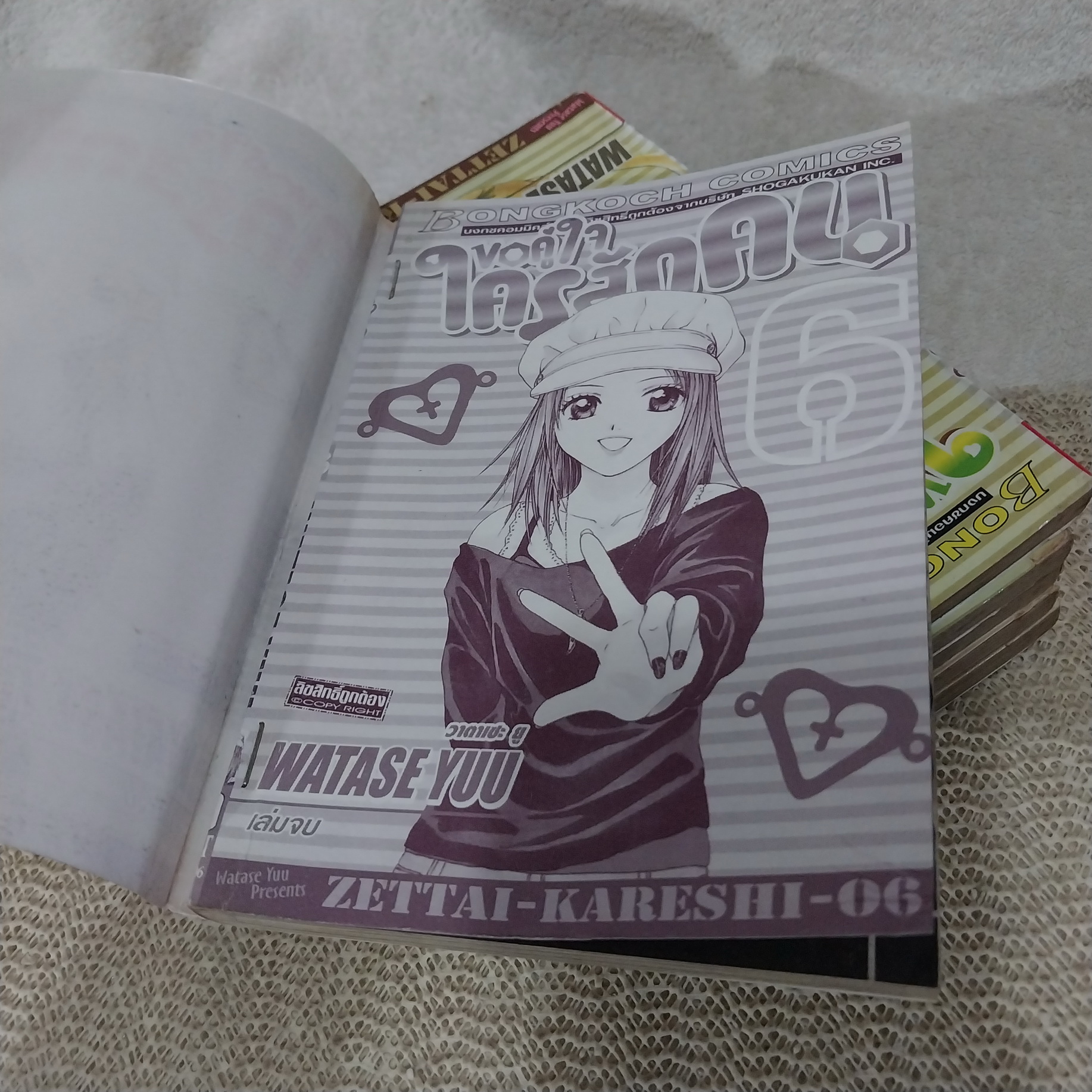 ขอคู่ใจใครสักคน 1-6 จบ