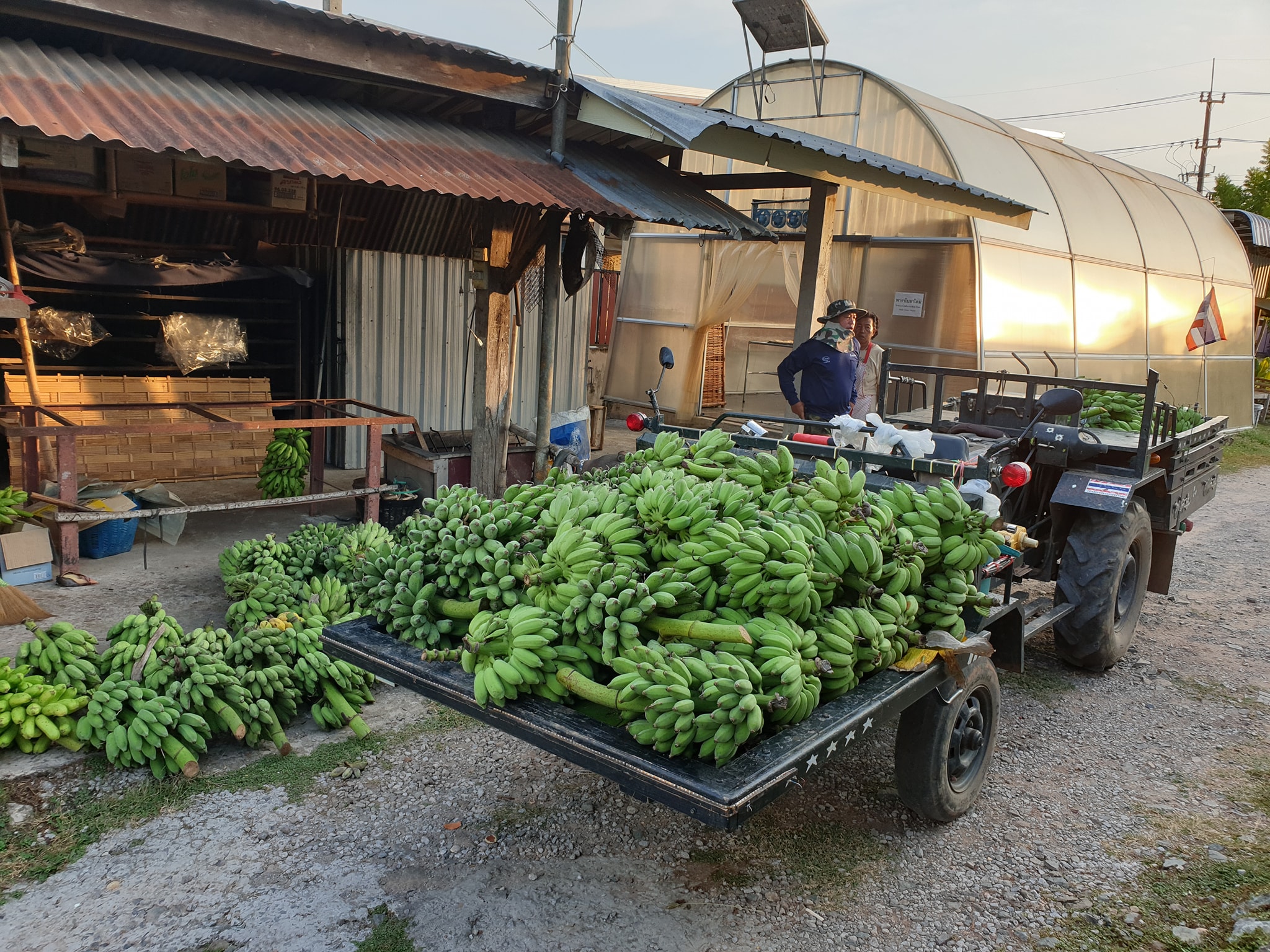 กล้วยอบแผ่นม้วนป้าจูลี่ 200g.