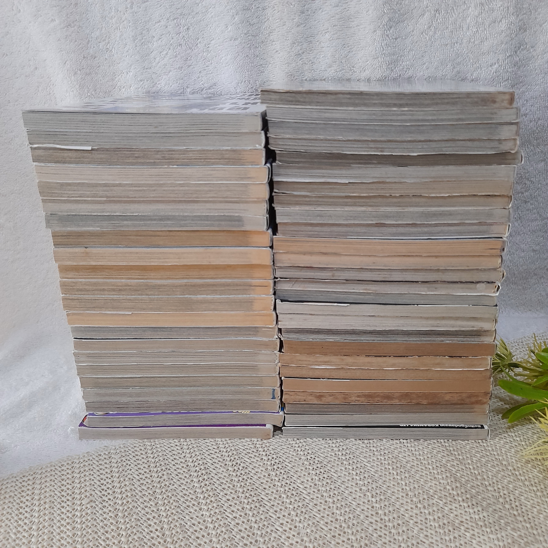 คุณชายพันธุ์โชะ โคฮินาตะ มิโนรุ 1-49 ไม่จบ / * ขาดเล่ม 50